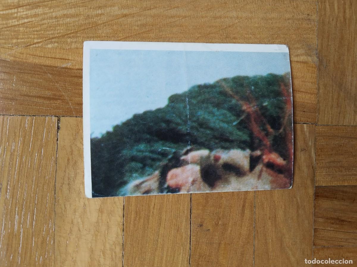 Collectable Antique Stickers: CROMO SIN PEGAR &Aacute;LBUM LA MANSION DEL TERROR MONSTRUOS ASTON N&ordm; 89