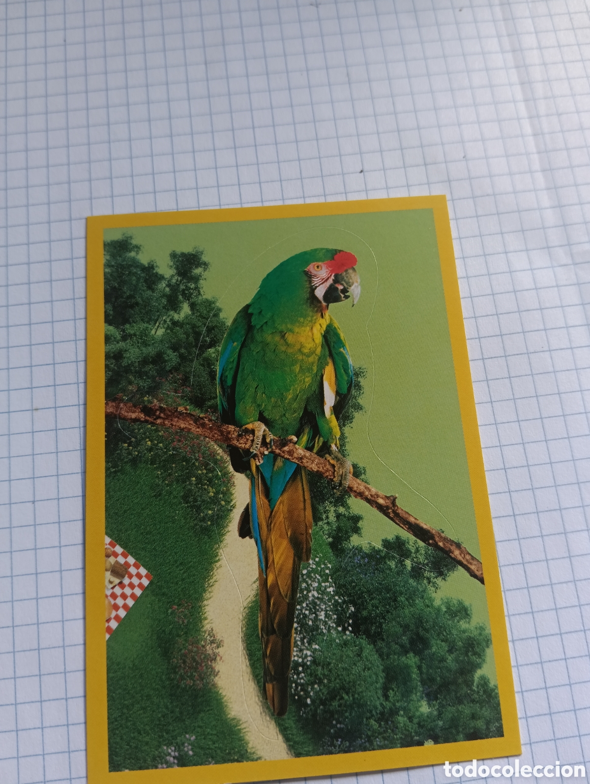 Sammeln alte Sammelbilder: Cromo National Geographic kids N&deg;148 2013