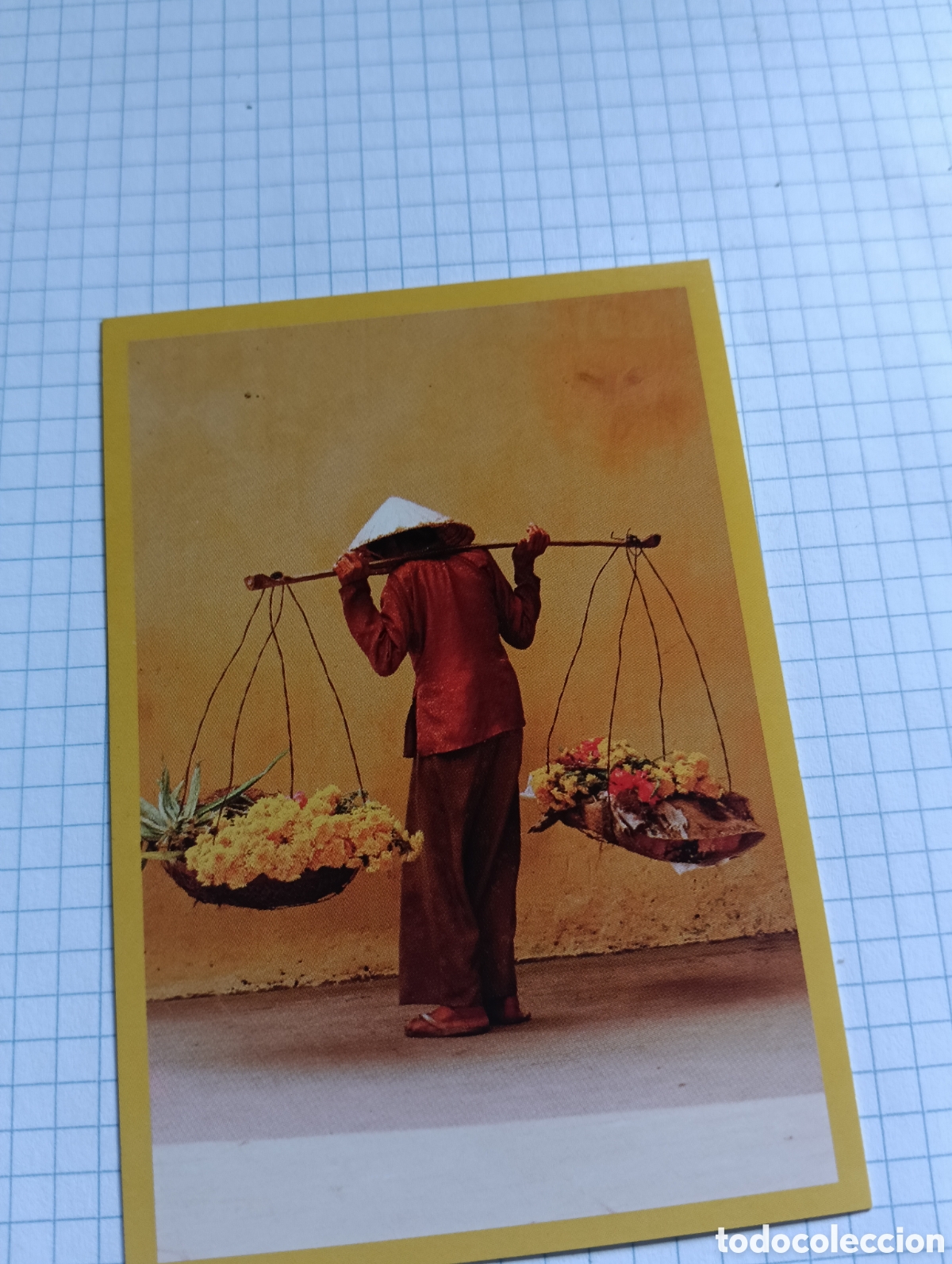 Collezionismo Figurine antiche: Cromo National Geographic kids N&deg;074 2013