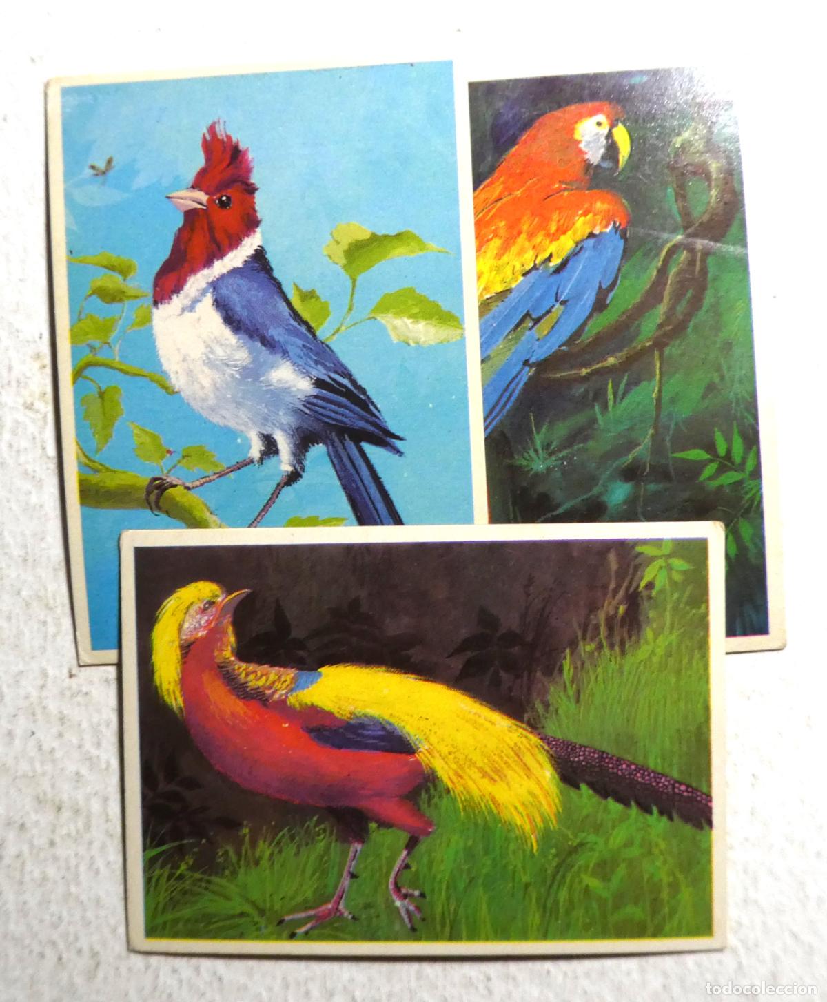 Collectable Antique Stickers: Lote de 3 DUNKIN SUPERCROMO - LAS AVES ,n&ordm; 1-7 y 9