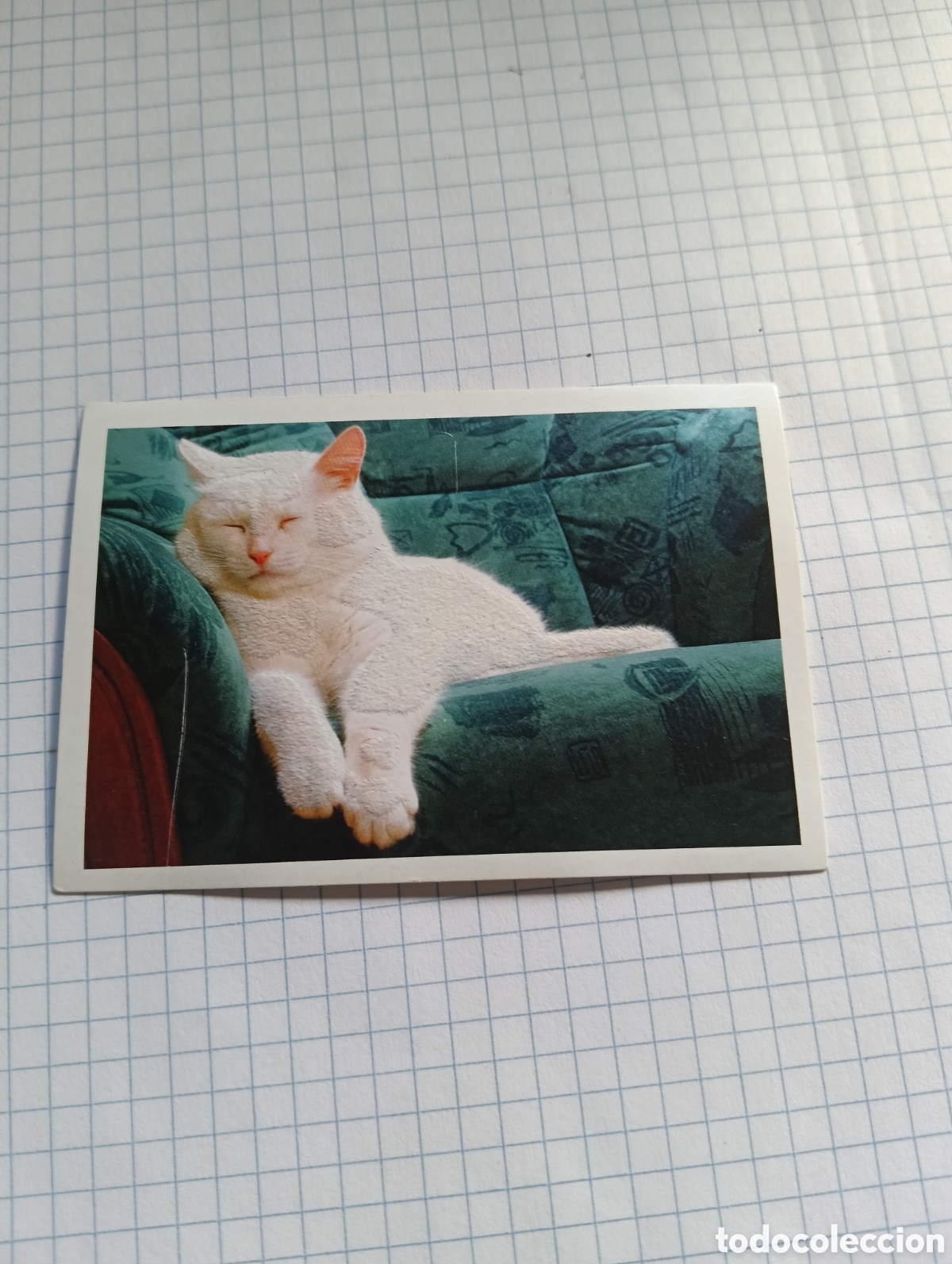 Collectable Antique Stickers: Cromo Tus mejores amigos Perros y gatos N&deg;168 2013