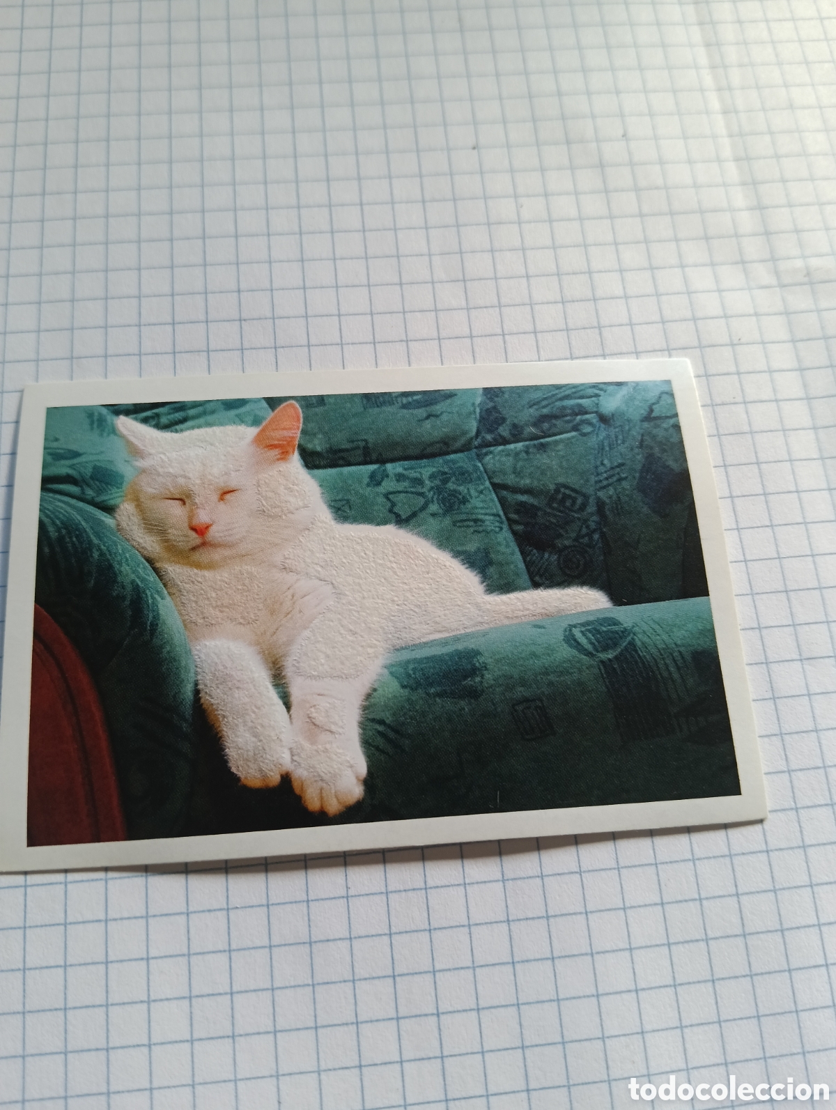 Coleccionismo Cromos antiguos: Cromo Tus mejores amigos Perros y gatos N&deg;168 2013