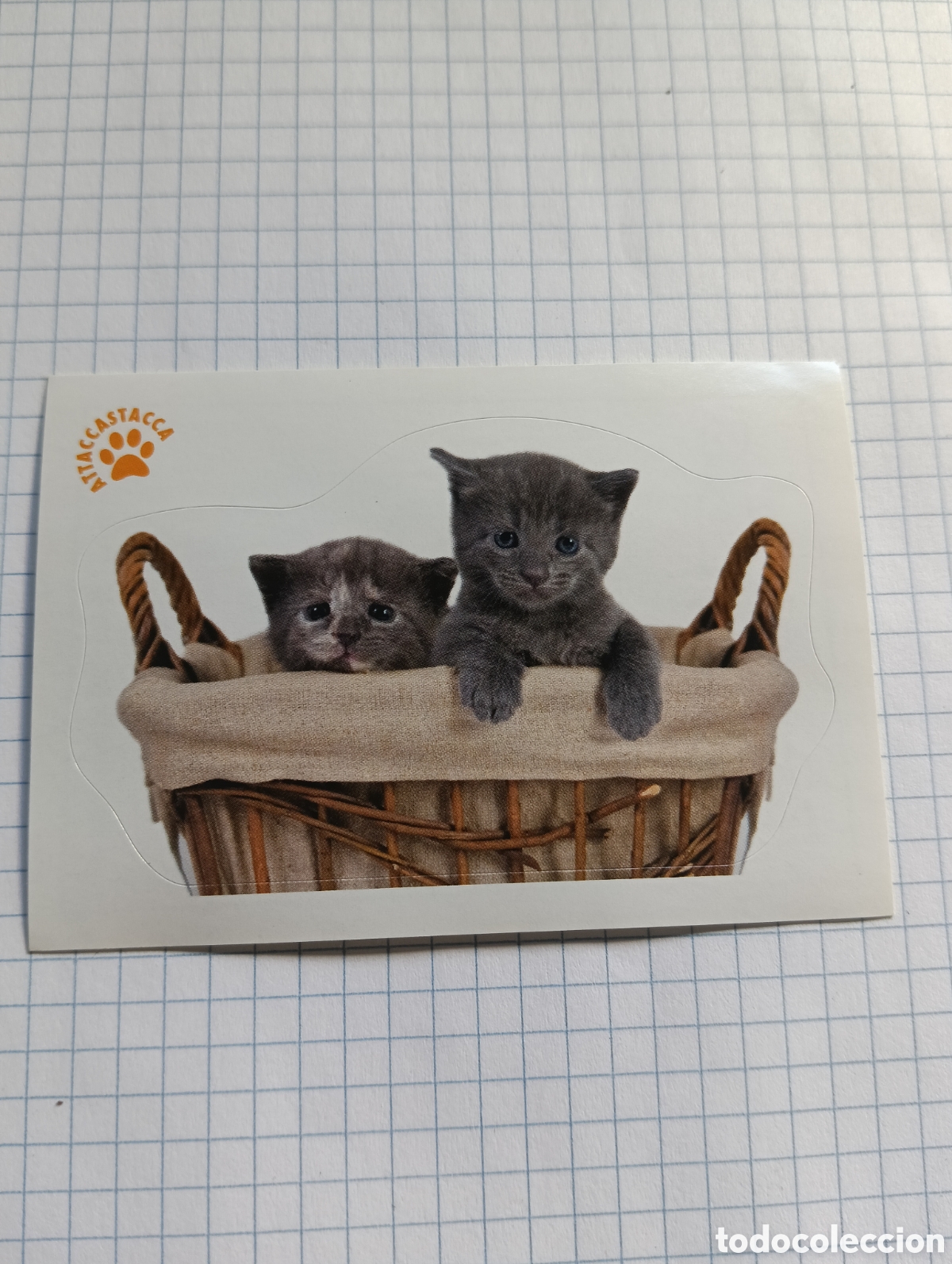 Coleccionismo Cromos antiguos: Cromo Tus mejores amigos Perros y gatos N&deg;146 2013