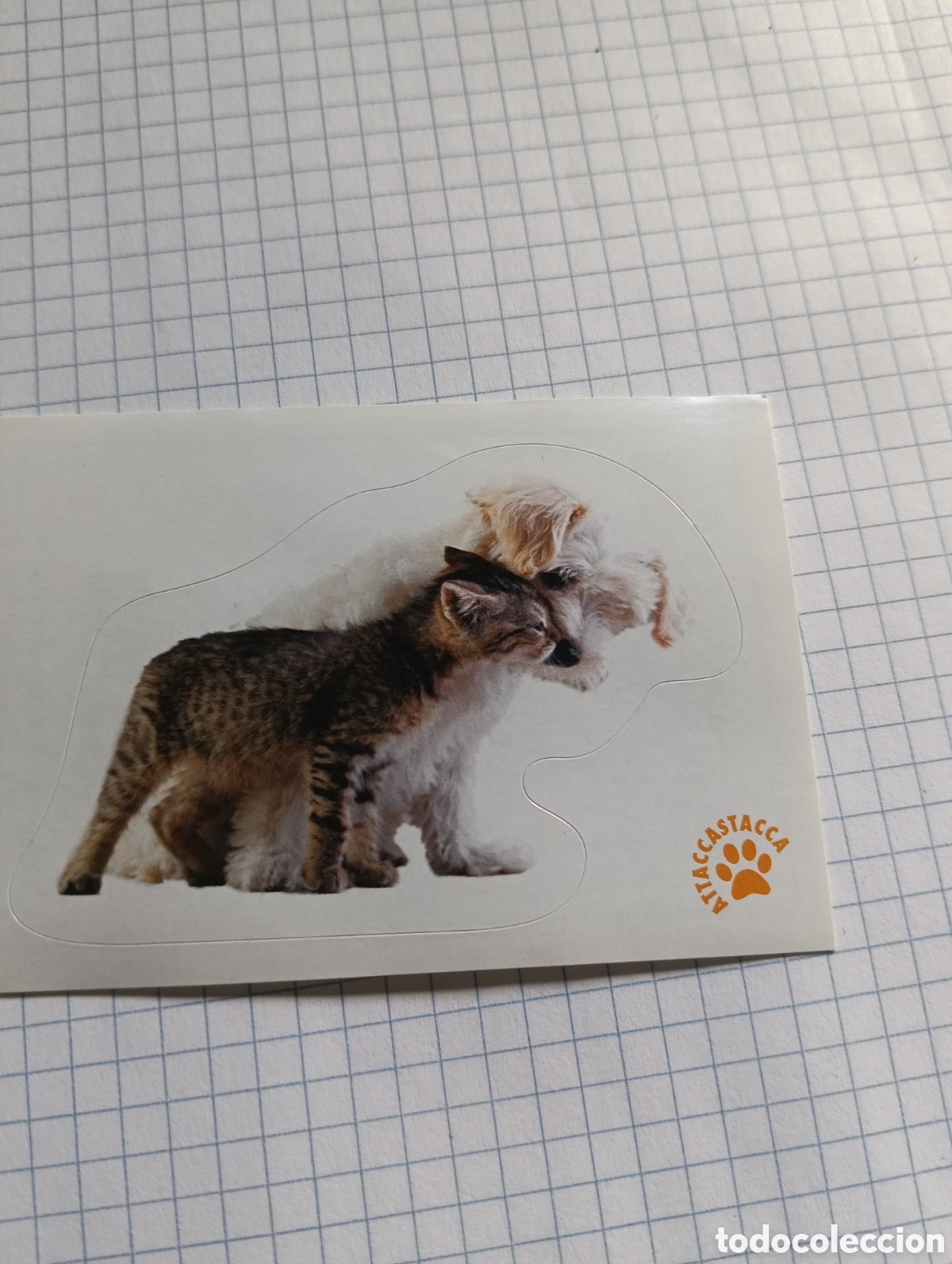 Coleccionismo Cromos antiguos: Cromo Tus mejores amigos Perros y gatos N&deg;135 2013
