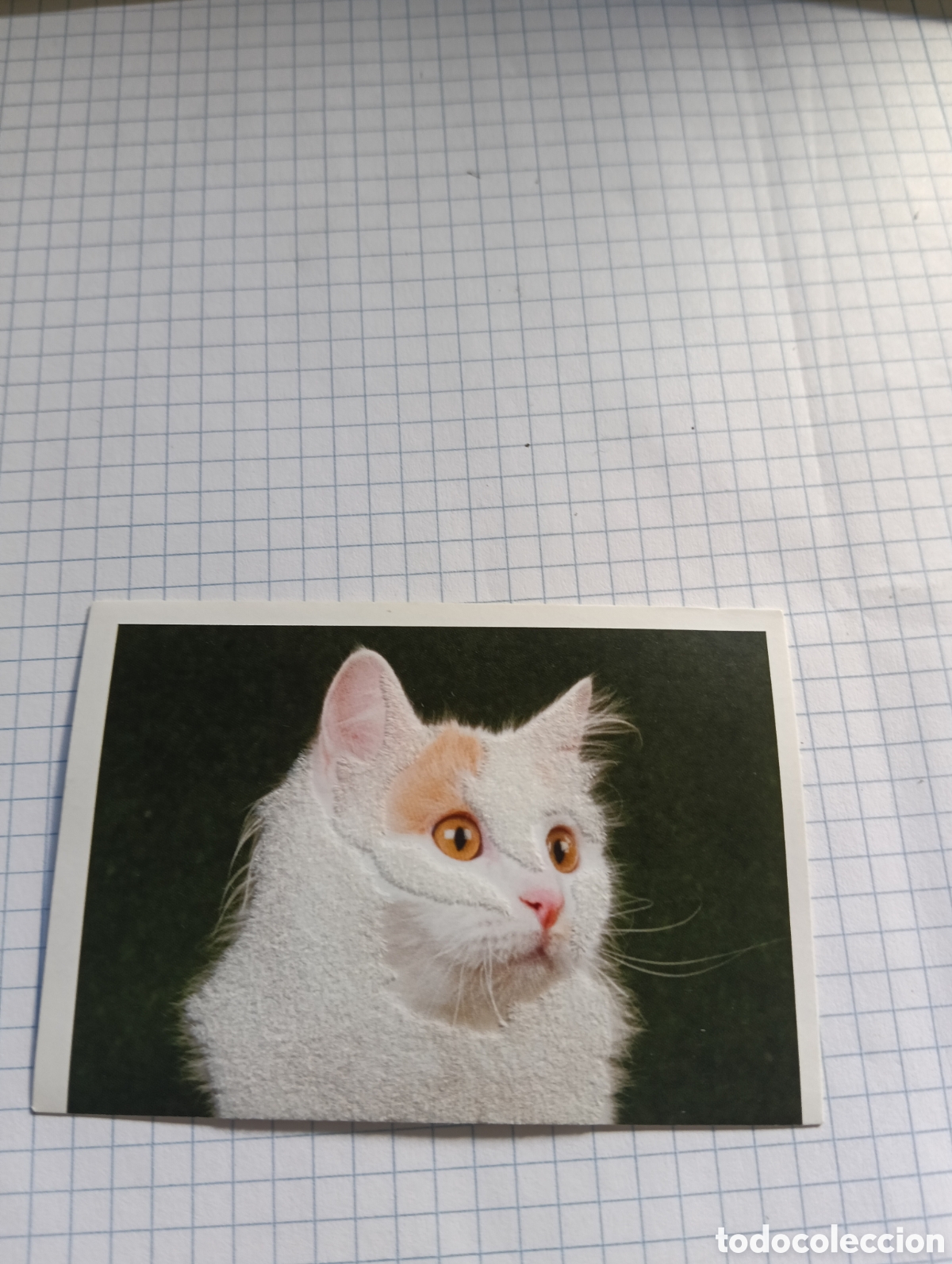 Coleccionismo Cromos antiguos: Cromo Tus mejores amigos Perros y gatos N&deg;88 2013