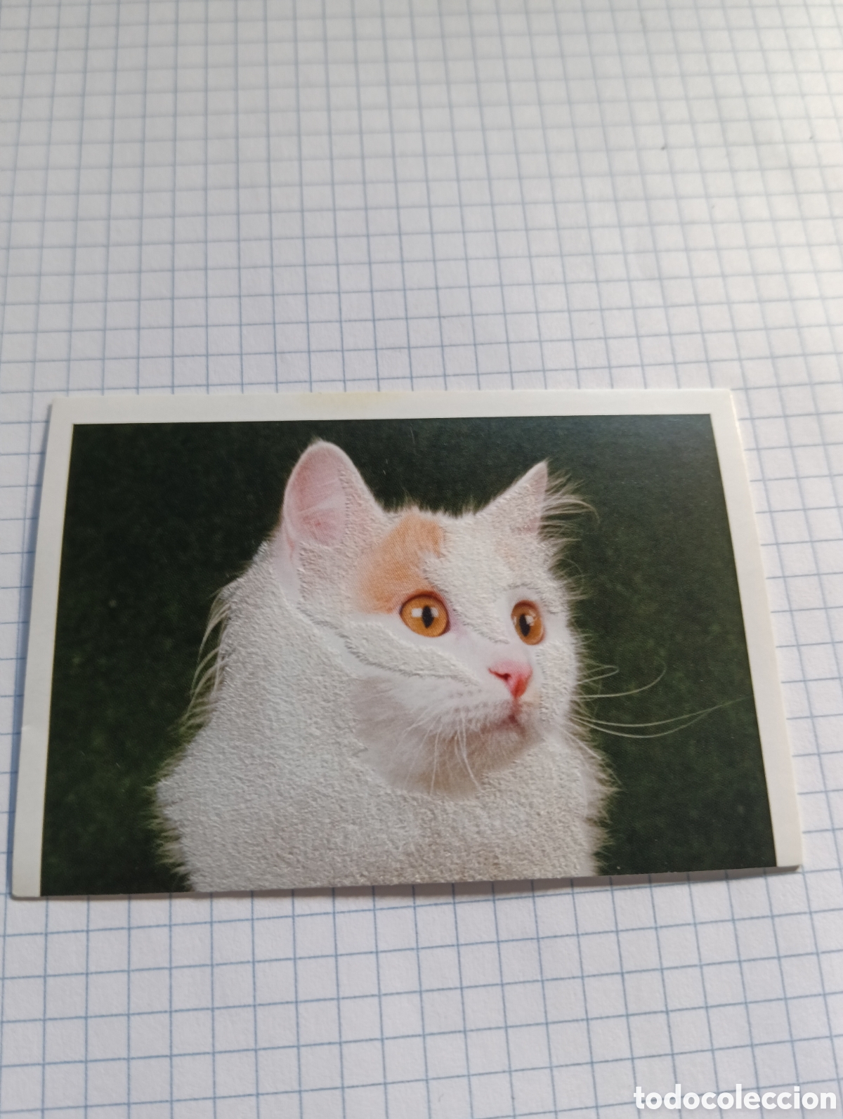 Coleccionismo Cromos antiguos: Cromo Tus mejores amigos Perros y gatos N&deg;88 2013