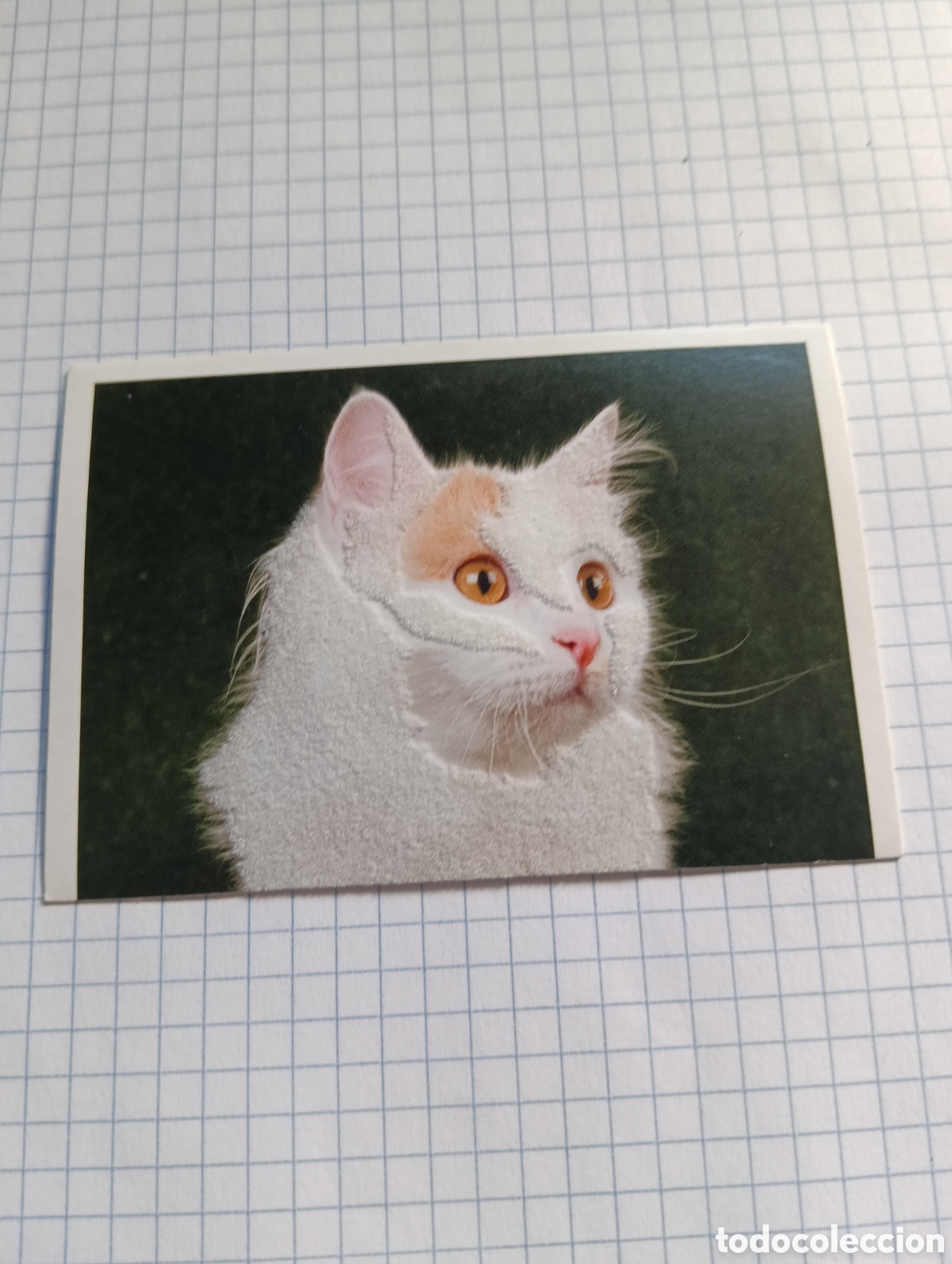 Coleccionismo Cromos antiguos: Cromo Tus mejores amigos Perros y gatos N&deg;88 2013