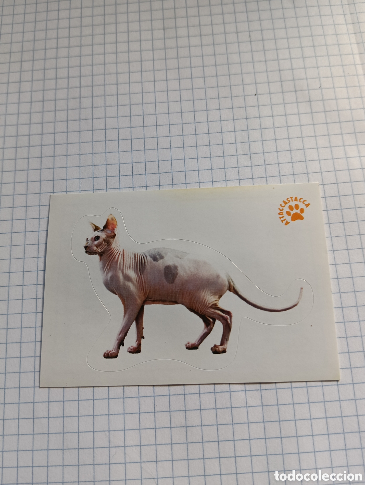 Collezionismo Figurine antiche: Cromo Tus mejores amigos Perros y gatos N&deg;78 2013