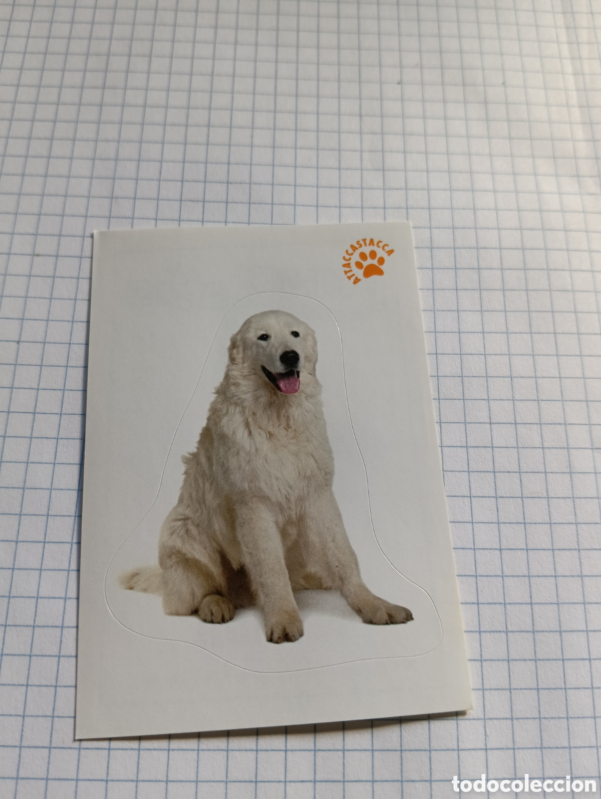Coleccionismo Cromos antiguos: Cromo Tus mejores amigos Perros y gatos N&deg;53 2013
