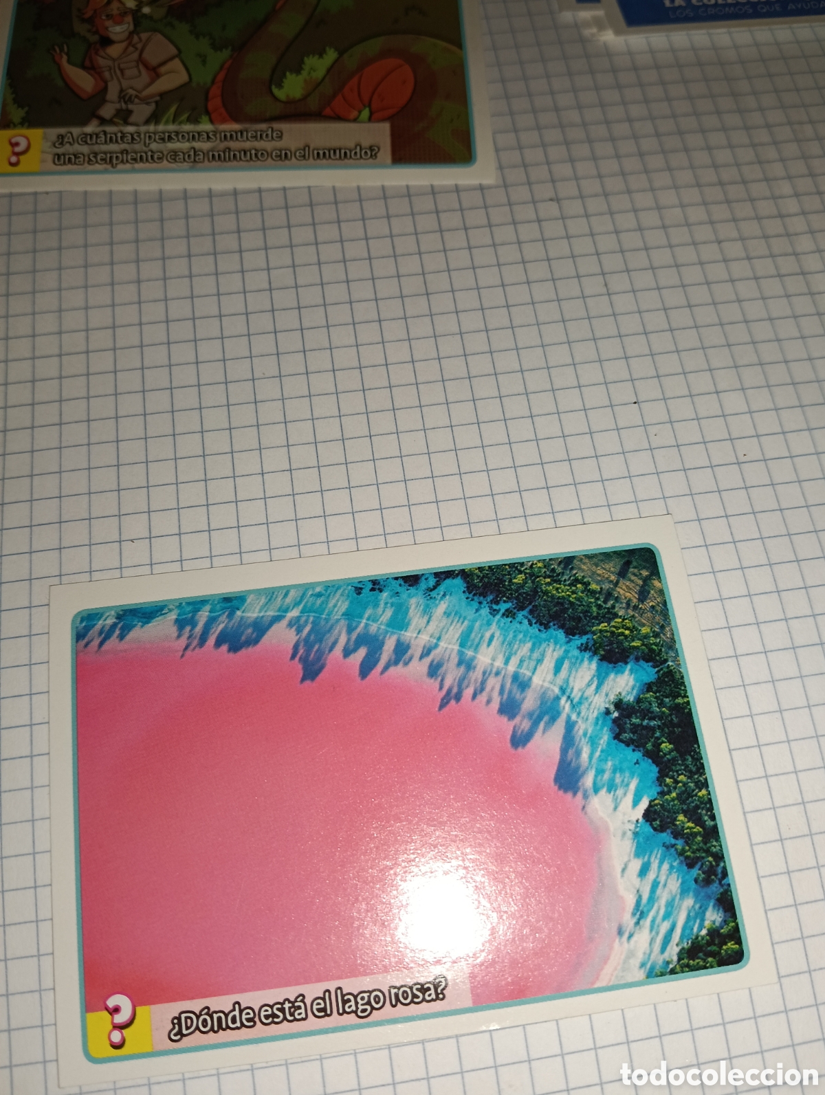 Coleccionismo Cromos antiguos: Cromo 27 El gran album del por qu&eacute; y como 2015