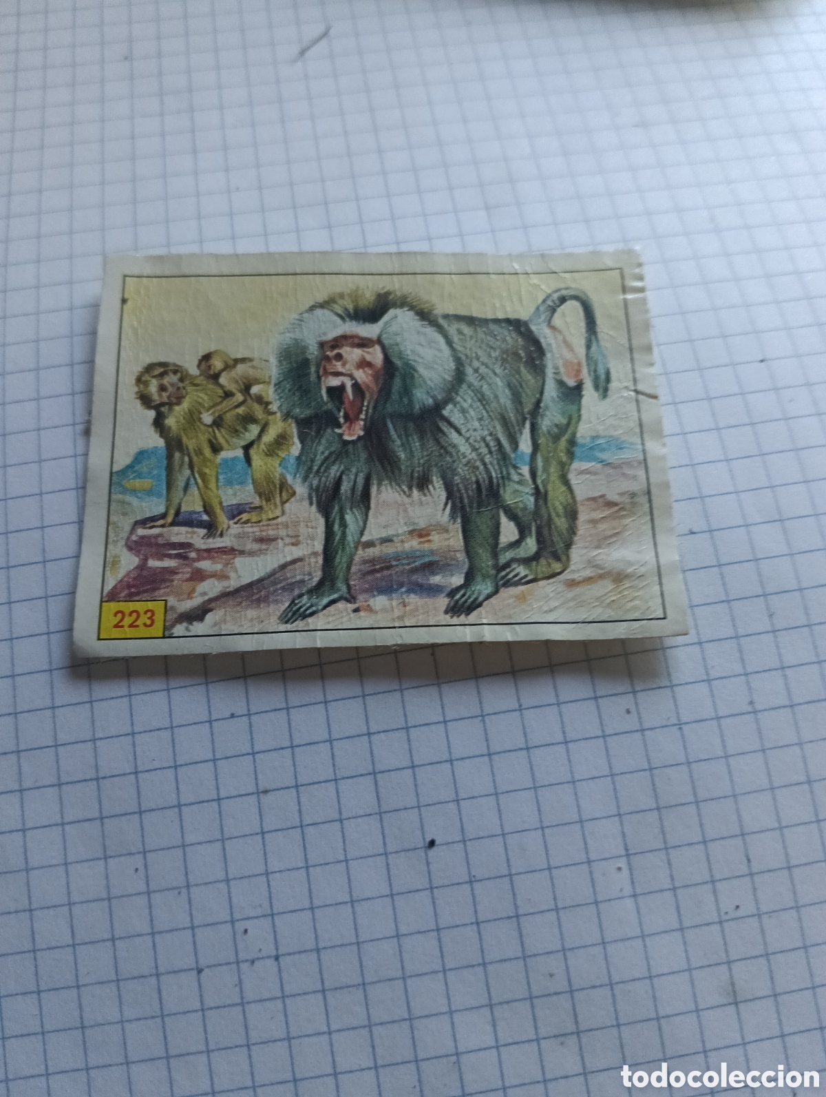 Colecionismo Cromos antigos: Cromo 223 Mam&iacute;feros 1984 Panini recuperado