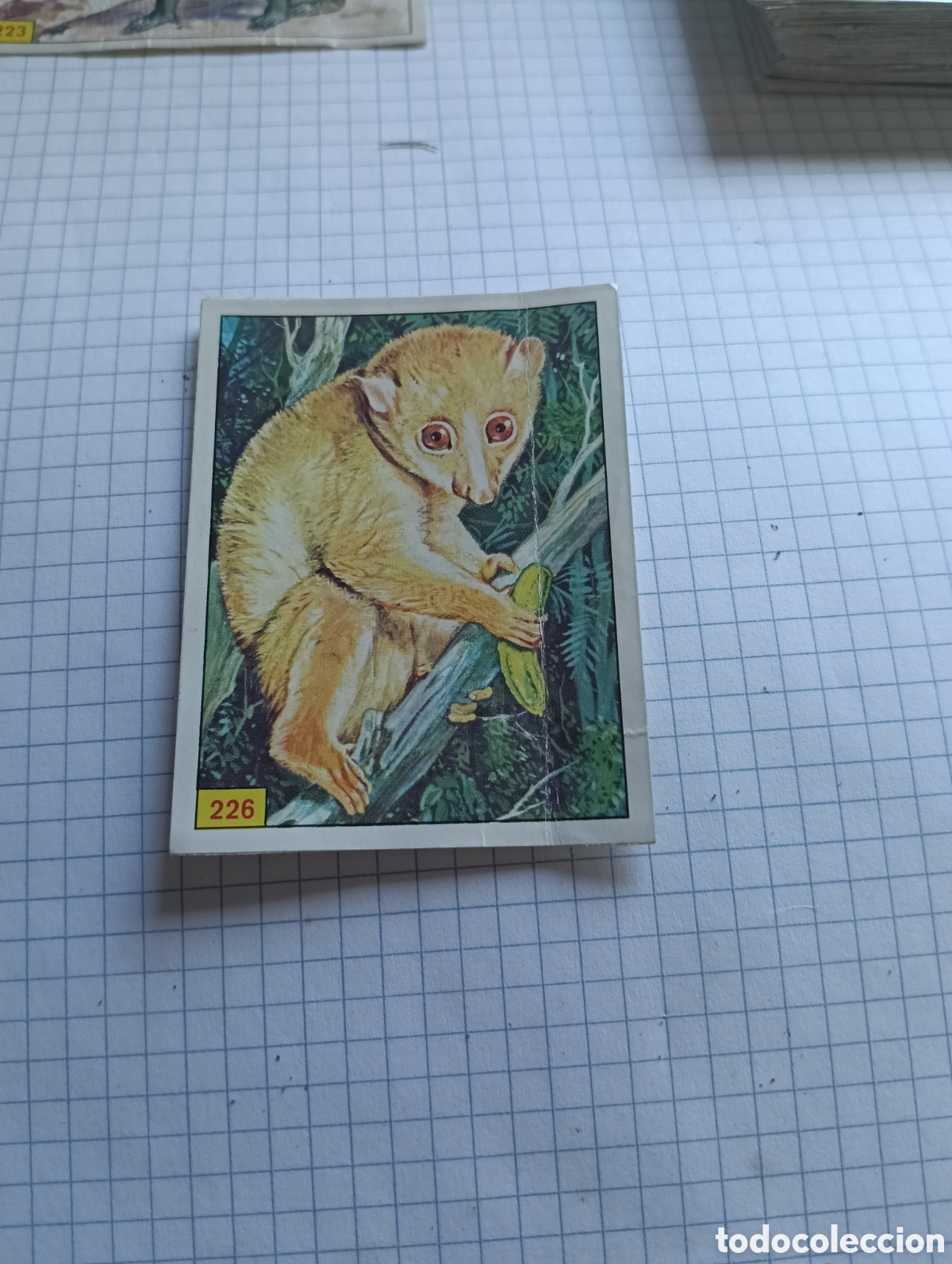 Colecionismo Cromos antigos: Cromo 226 Mam&iacute;feros 1984 Panini Recuperado