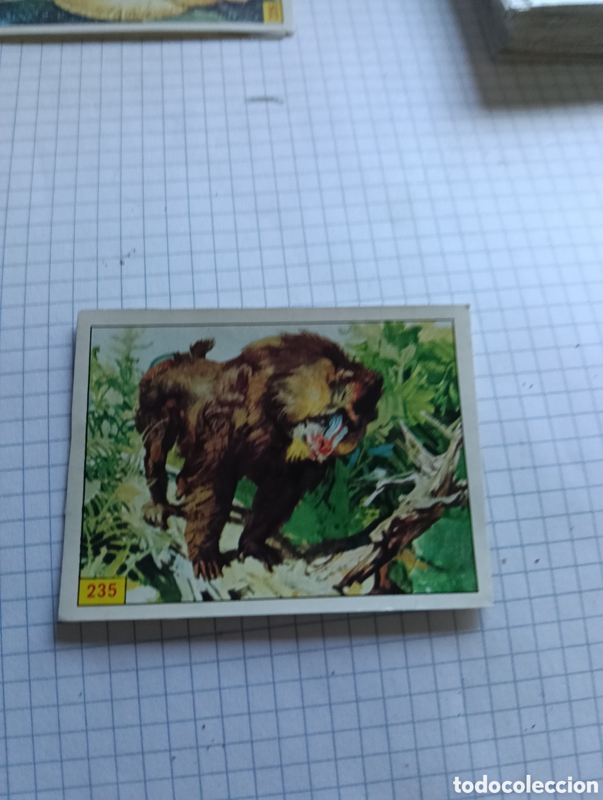 Colecionismo Cromos antigos: Cromo 235 Mam&iacute;feros 1984 Panini Recuperado