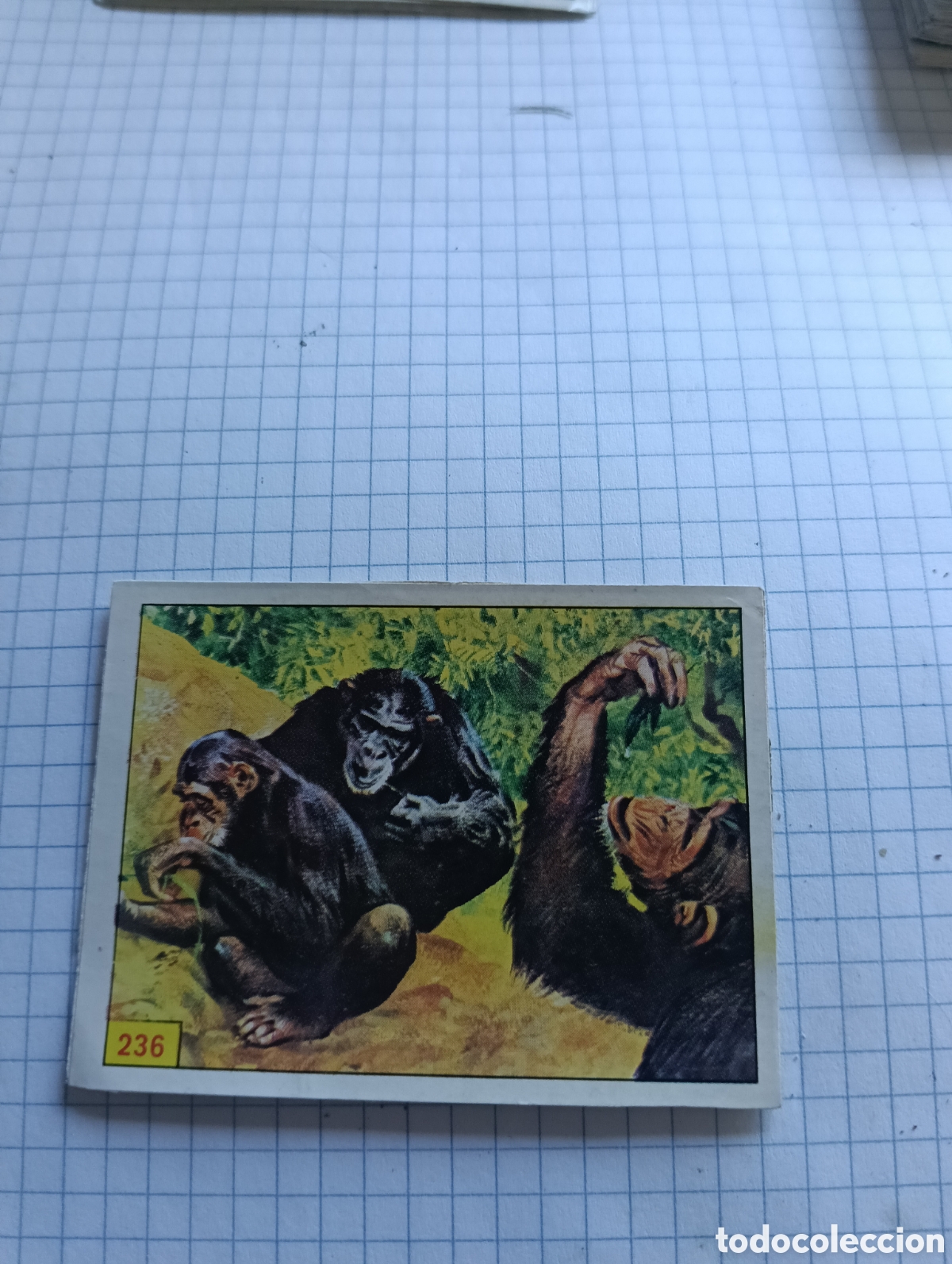 Colecionismo Cromos antigos: Cromo 236 Mamiferos 1984 Panini Recuperado