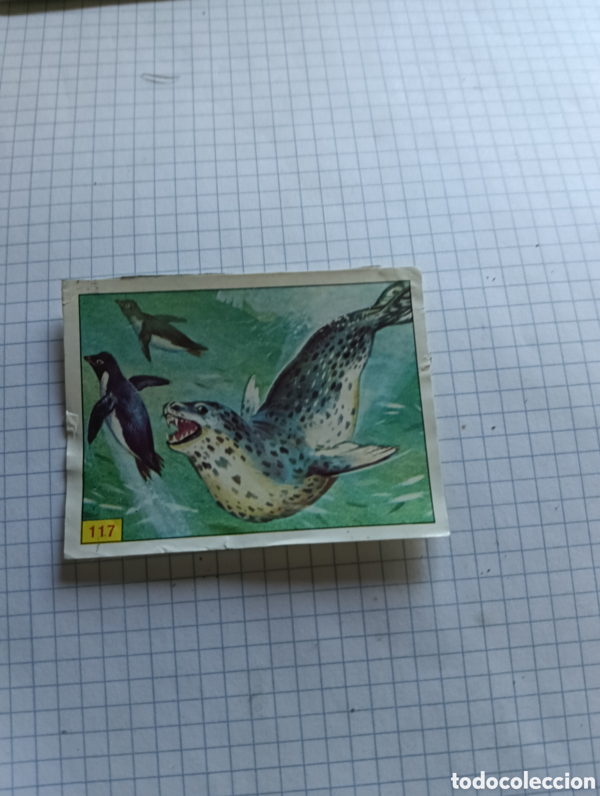 Sammeln alte Sammelbilder: Cromo 117 Mam&iacute;feros 1984 Panini Recuperado