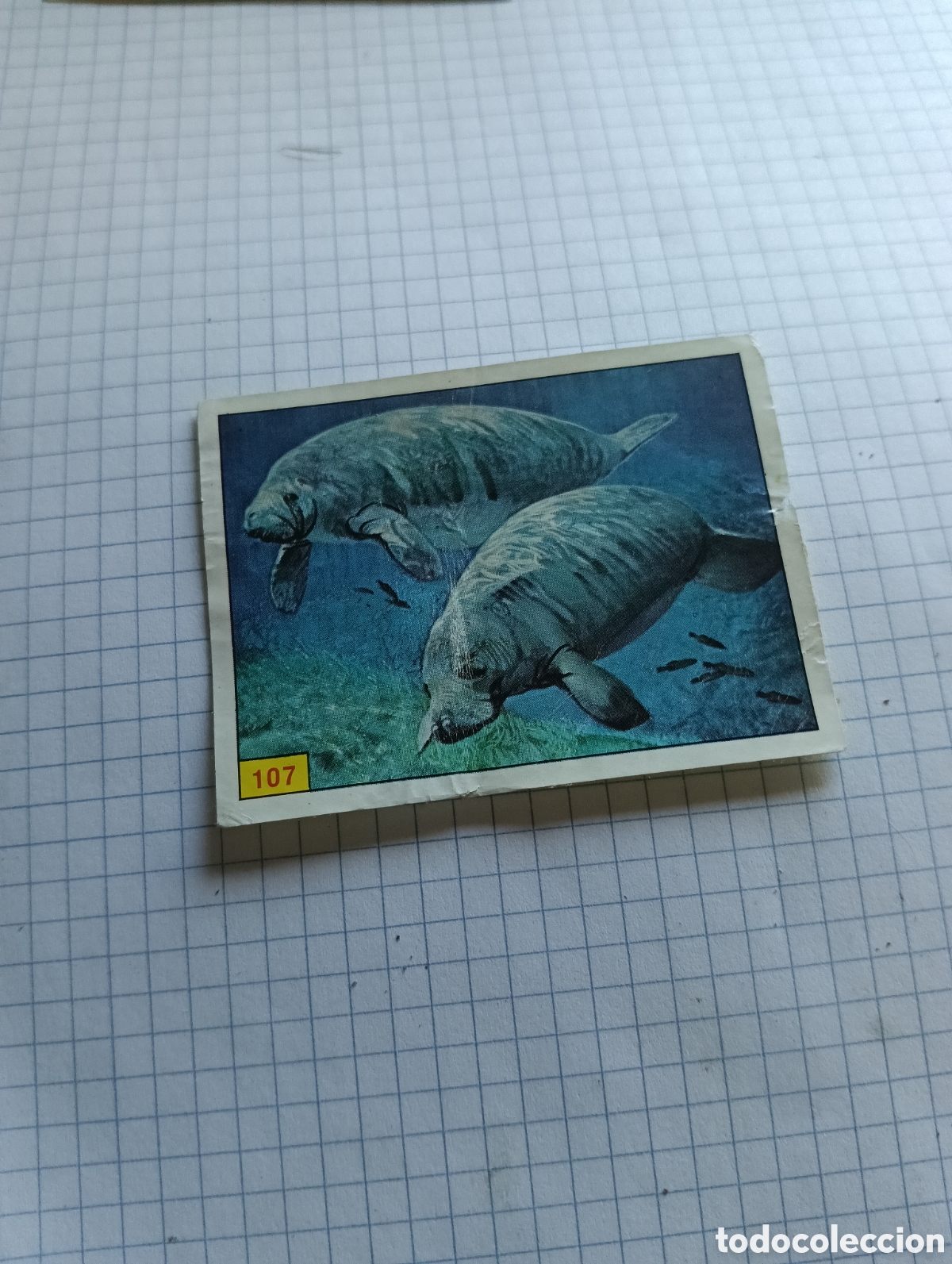 Coleccionismo Cromos antiguos: Cromo 107 Mam&iacute;feros 1984 Panini Recuperado