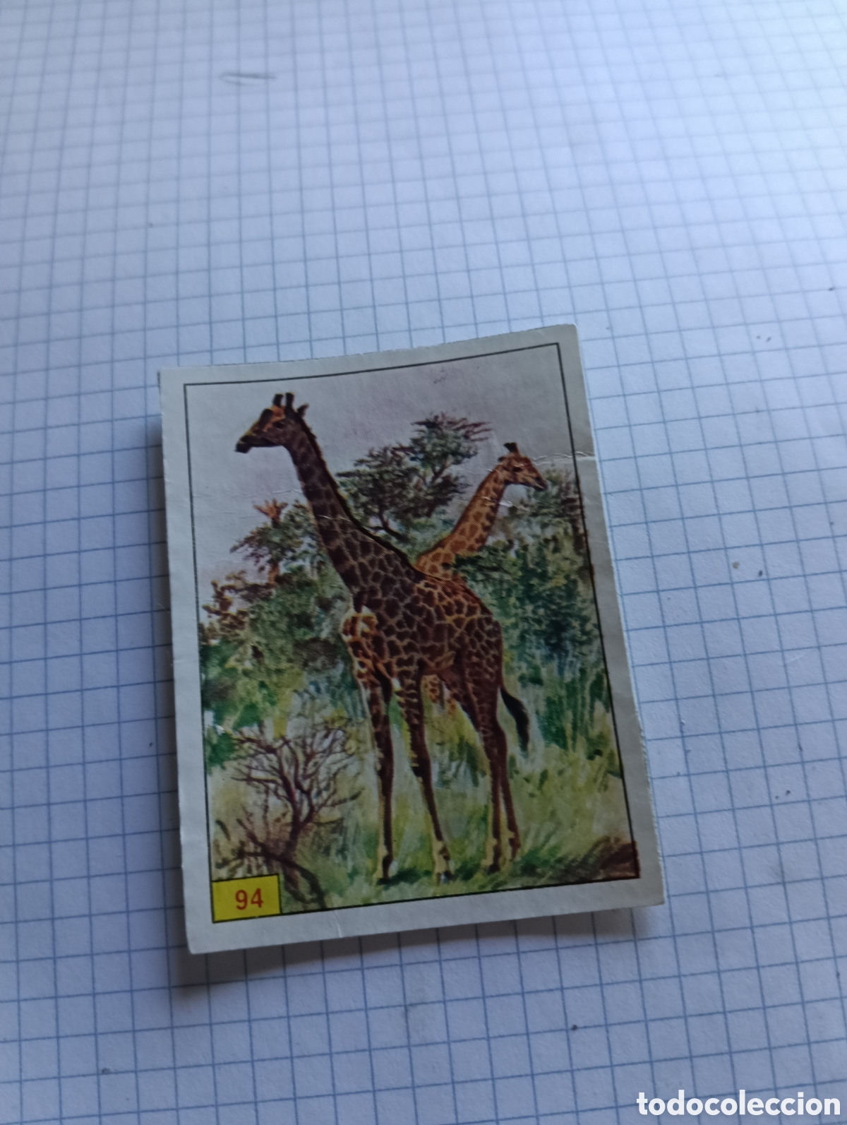 Coleccionismo Cromos antiguos: Cromo 94 Mam&iacute;feros 1984 Panini Recuperado