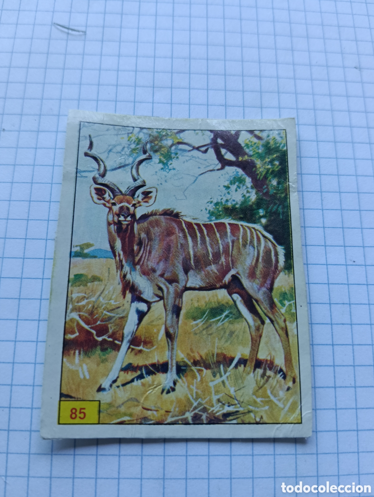 Coleccionismo Cromos antiguos: Cromo 85 Mam&iacute;feros 1984 Panini Recuperado