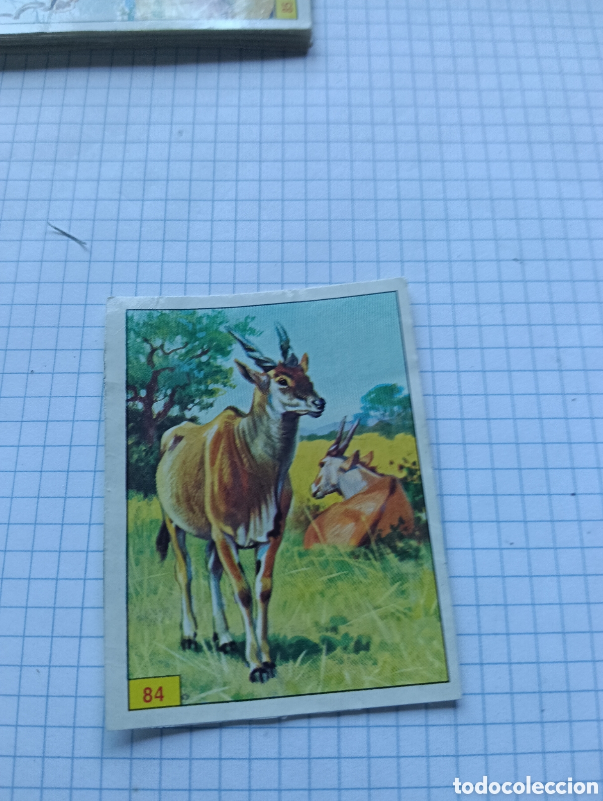 Coleccionismo Cromos antiguos: Cromo 84 Mam&iacute;feros 1984 Panini Recuperado