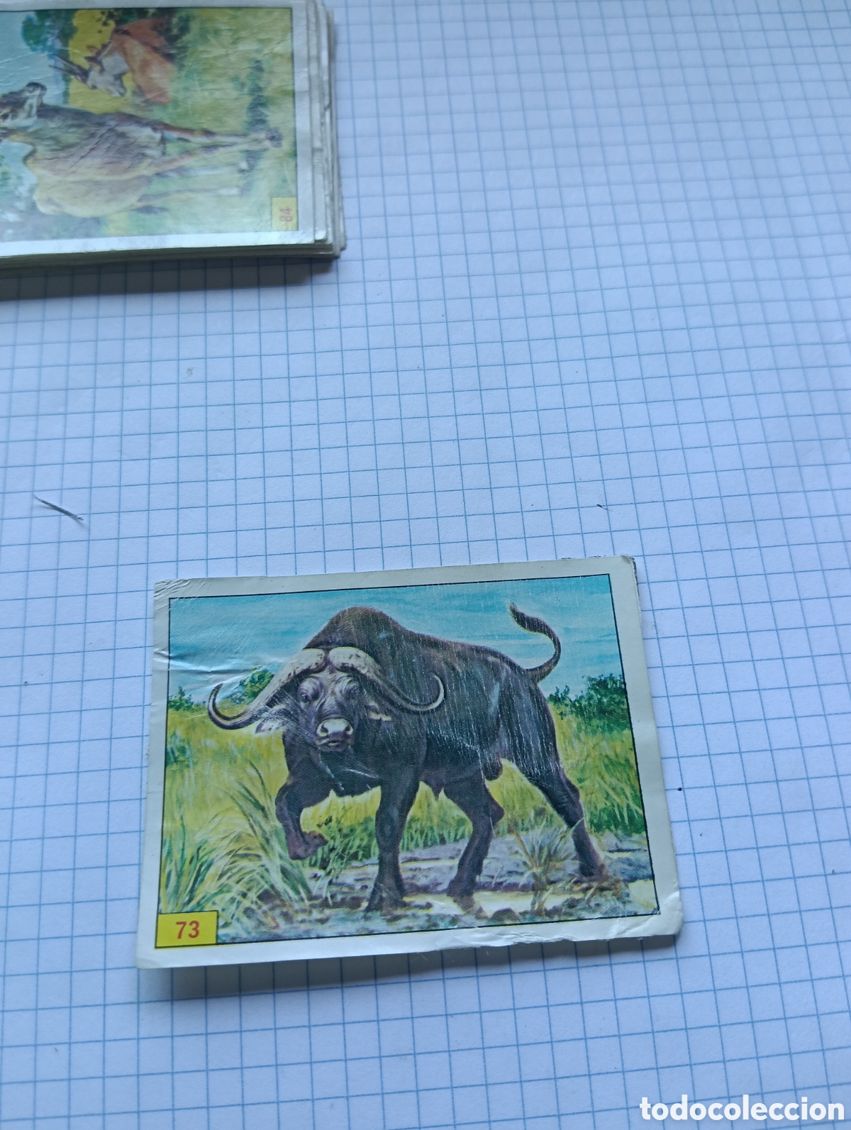Coleccionismo Cromos antiguos: Cromo 73 Mam&iacute;feros 1984 Panini Recuperado