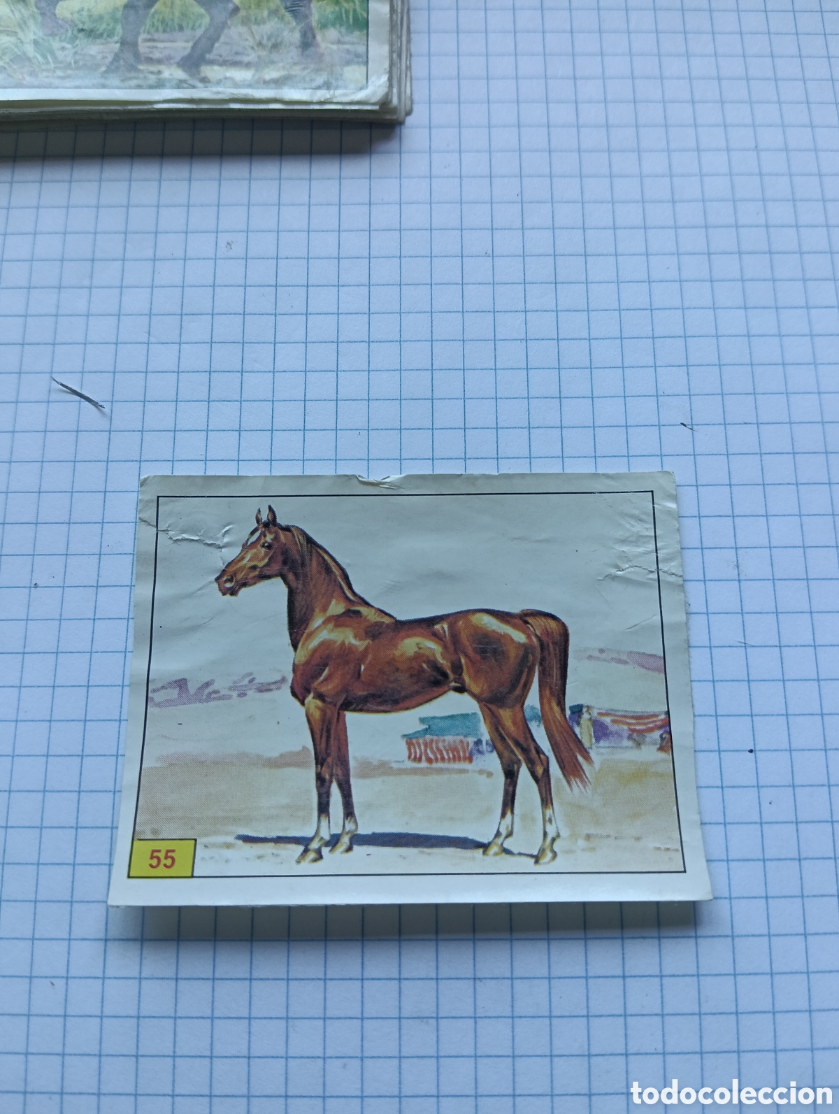 Coleccionismo Cromos antiguos: Cromo 55 Mam&iacute;feros 1984 Panini Recuperado