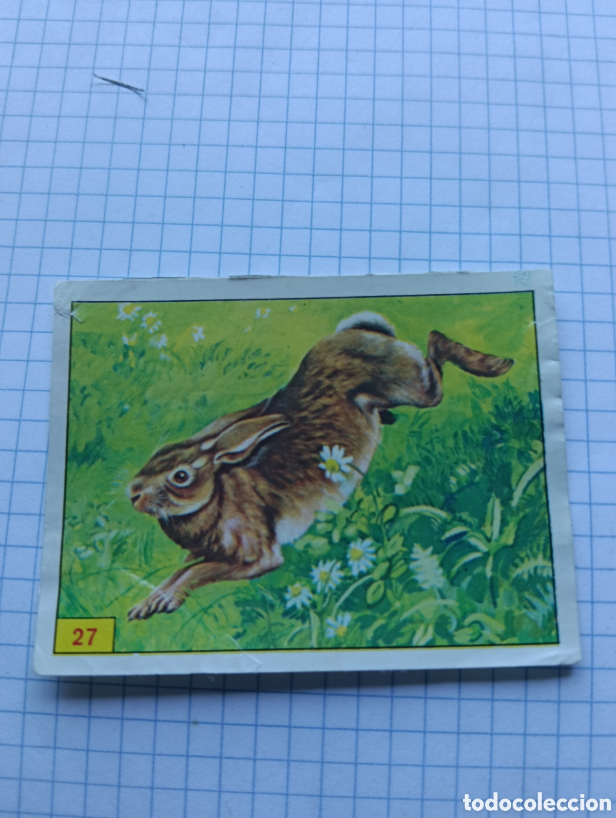 Coleccionismo Cromos antiguos: Cromo 27 Mam&iacute;feros 1984 Panini Recuperado