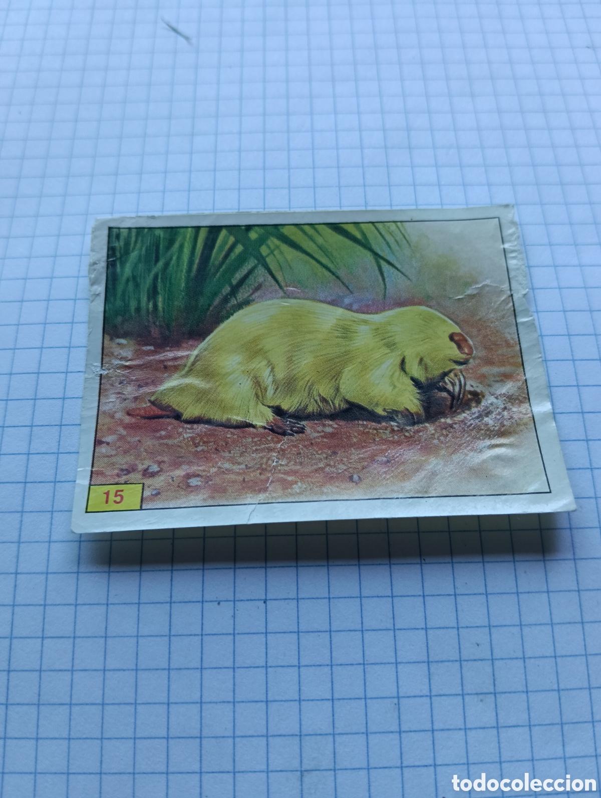 Collectionnisme Cartes &agrave; collectionner anciennes: Cromo 15 Mam&iacute;feros 1984 Panini Recuperado
