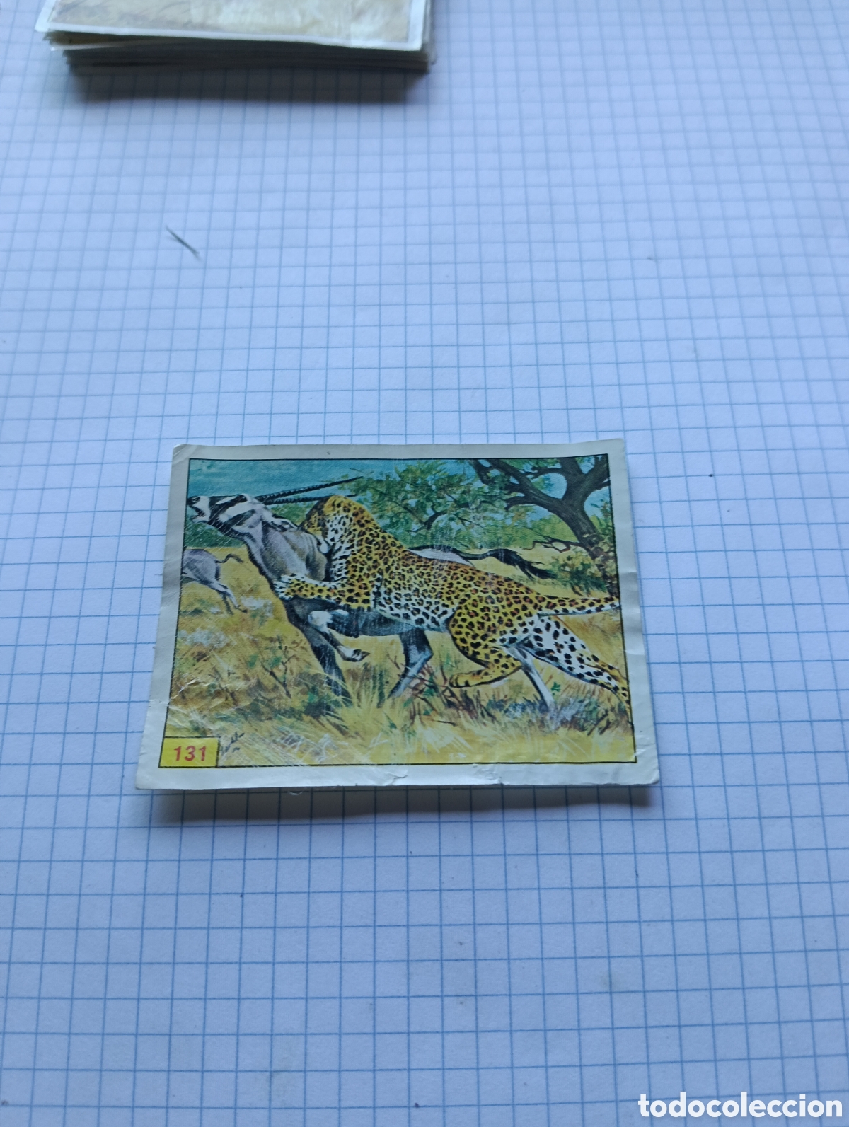Collectionnisme Cartes &agrave; collectionner anciennes: Cromo 131 Mam&iacute;feros 1984 Panini Recuperado