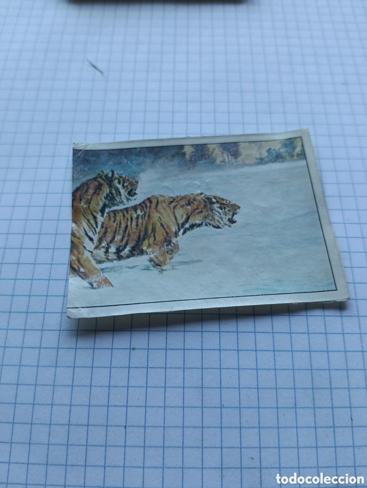 Colecionismo Cromos antigos: Cromo 136 Mam&iacute;feros 1984 Panini Recuperado