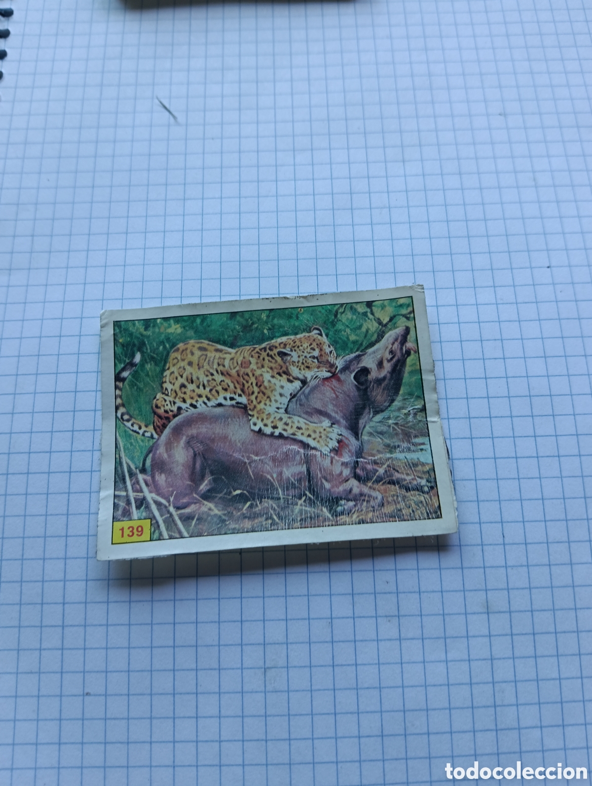 Coleccionismo Cromos antiguos: Cromo 139 Mam&iacute;feros 1984 Panini Recuperado