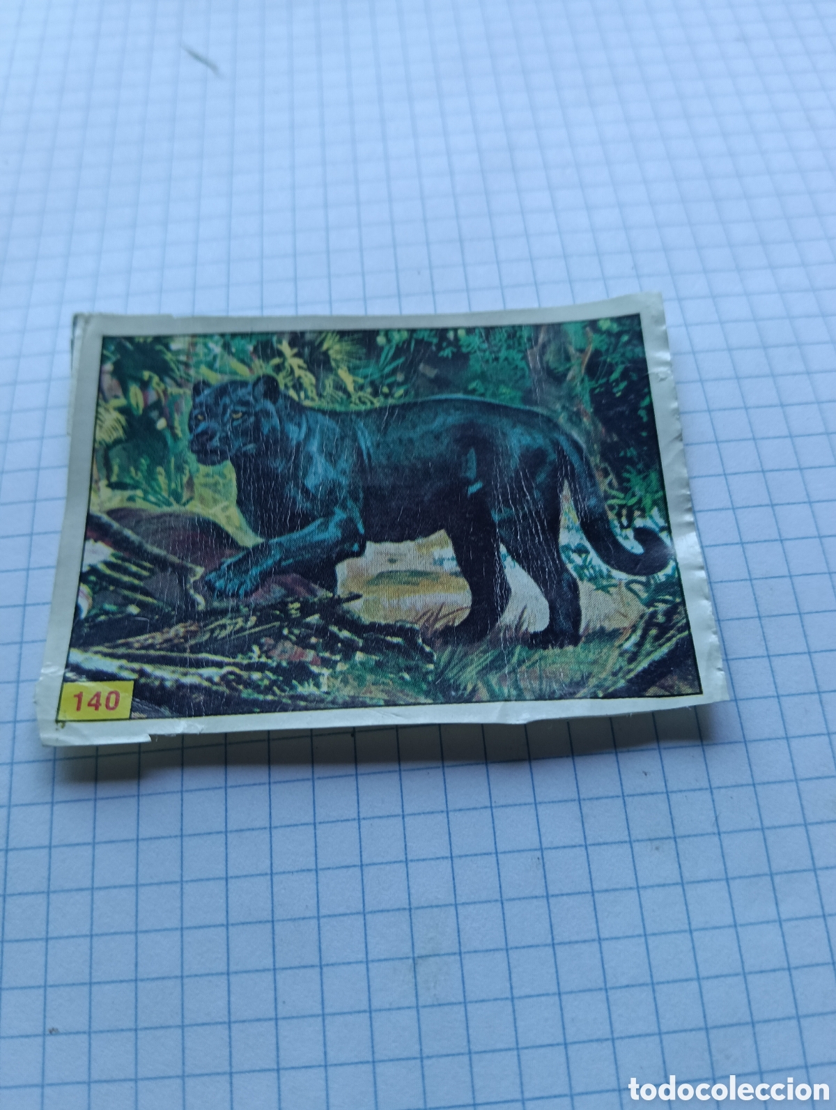 Collezionismo Figurine antiche: Cromo 140 Mam&iacute;feros 1984 Panini Recuperado