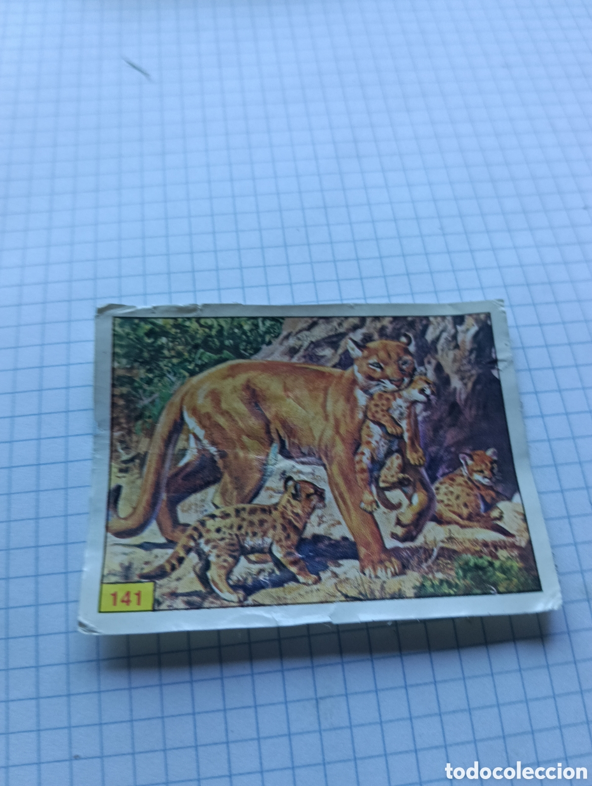 Collezionismo Figurine antiche: Cromo 141 Mam&iacute;feros 1984 Panini Recuperado
