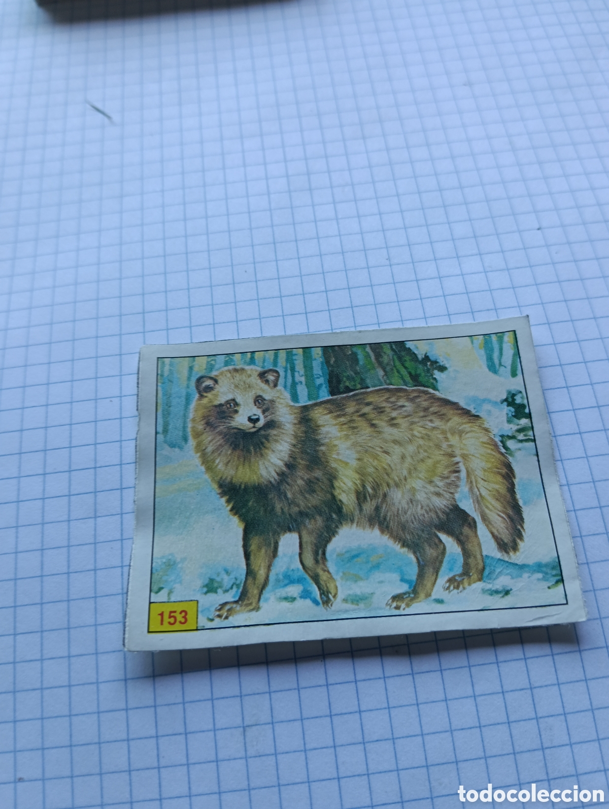 Collezionismo Figurine antiche: Cromo 153 Mam&iacute;feros 1984 Panini Recuperado