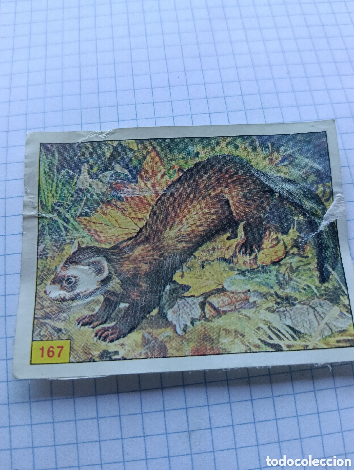 Collezionismo Figurine antiche: Cromo 167 Mam&iacute;feros 1984 Panini Recuperado
