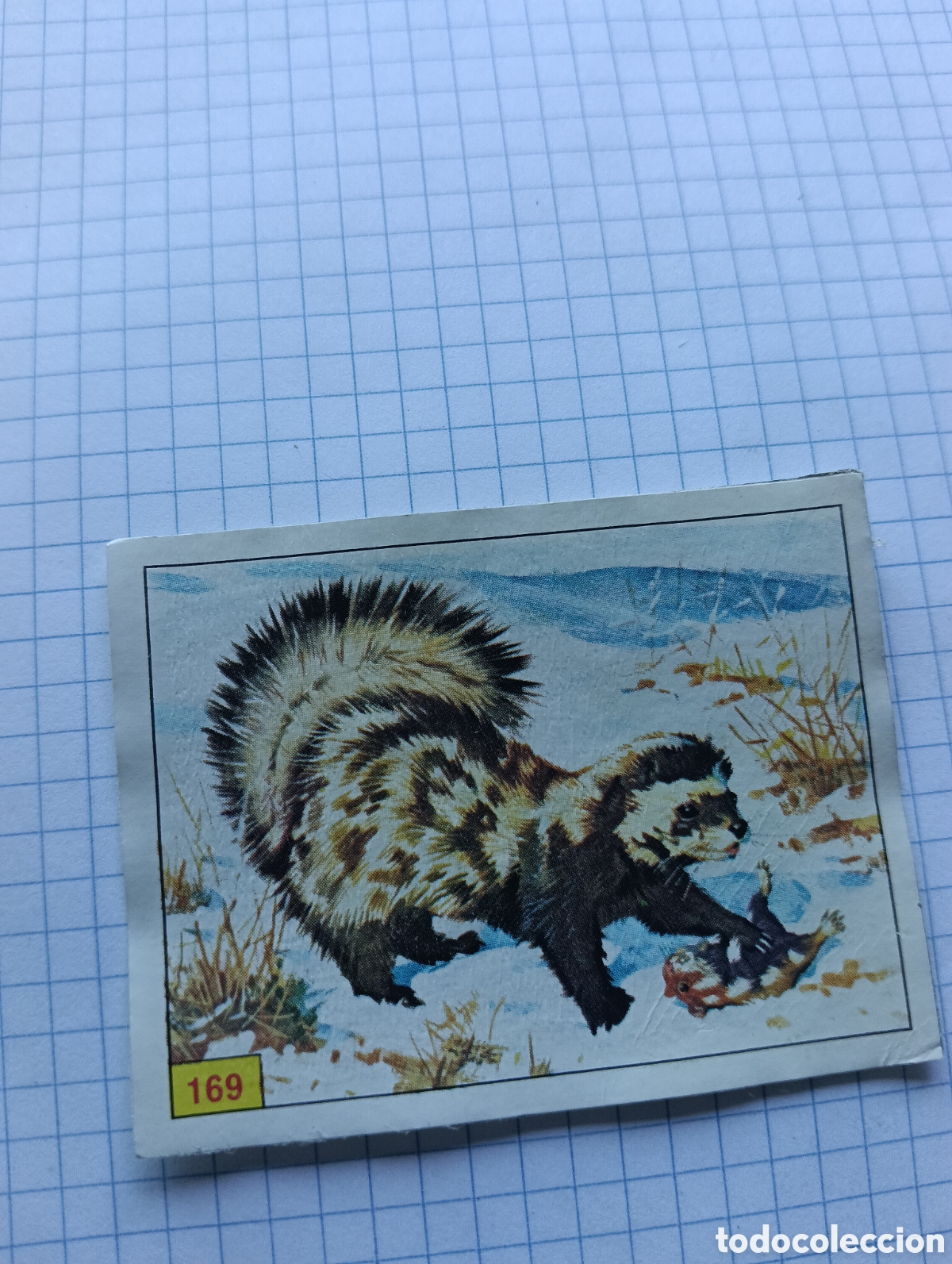 Coleccionismo Cromos antiguos: Cromo 169 mam&iacute;feros 1984 Panini Recuperado