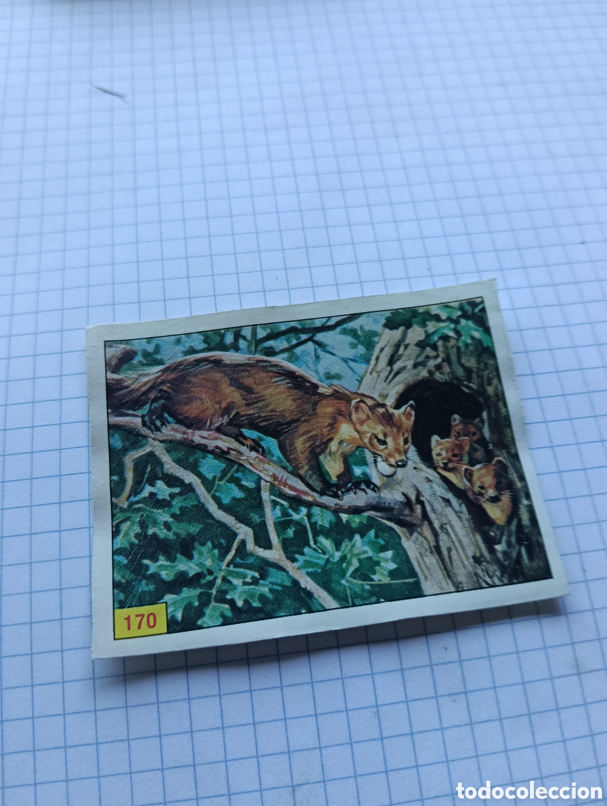 Coleccionismo Cromos antiguos: Cromo 170 Mam&iacute;feros 1984 Panini Recuperado