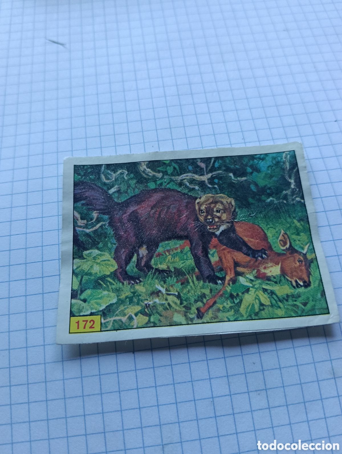 Coleccionismo Cromos antiguos: Cromo 172 Mam&iacute;feros 1984 Panini Recuperado