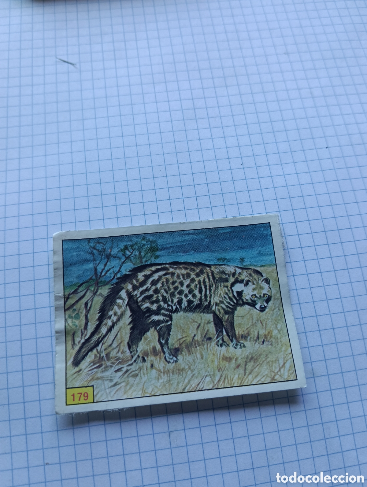 Colecionismo Cromos antigos: Cromo 179 mam&iacute;feros 1984 Panini Recuperado