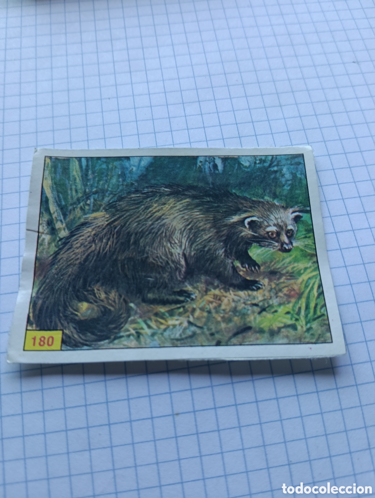 Coleccionismo Cromos antiguos: Cromo 180 mam&iacute;feros 1984 Panini Recuperado