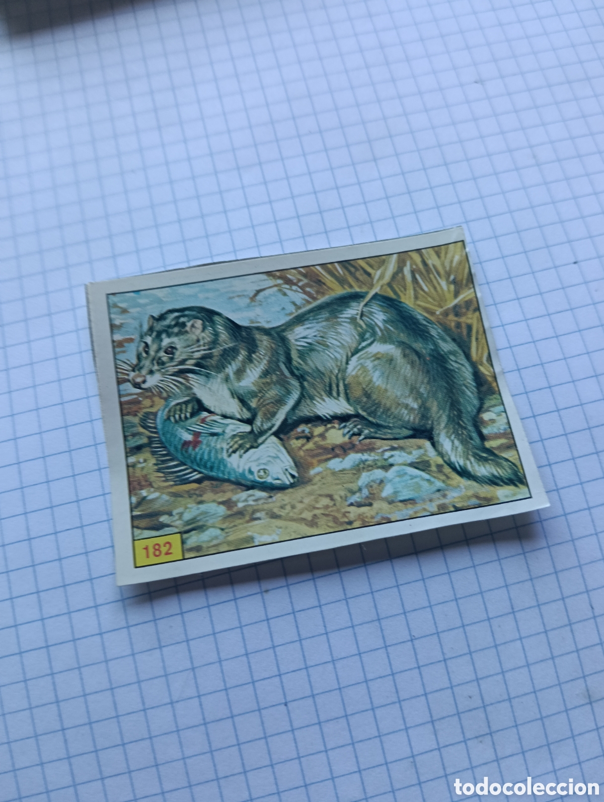 Coleccionismo Cromos antiguos: Cromo 182 mam&iacute;feros 1984 Panini Recuperado
