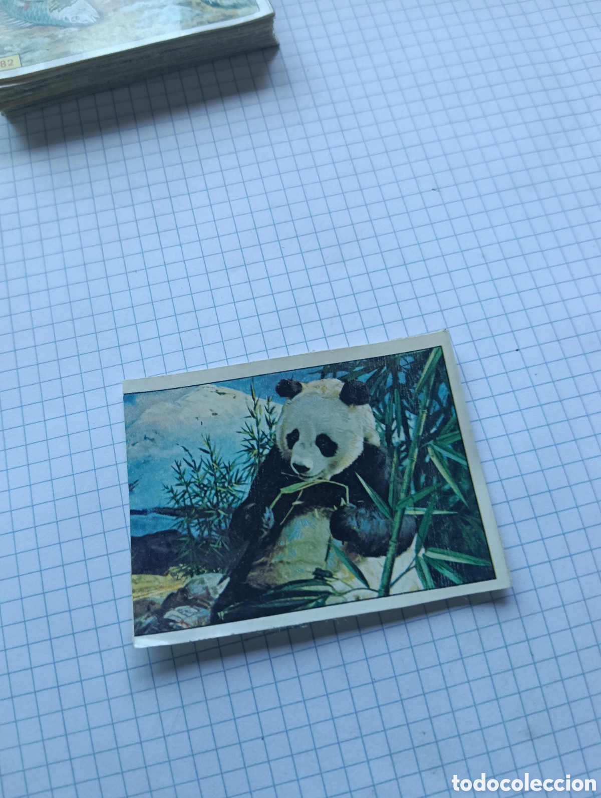 Coleccionismo Cromos antiguos: Cromo 192 Mam&iacute;feros 1984 Panini Recuperado