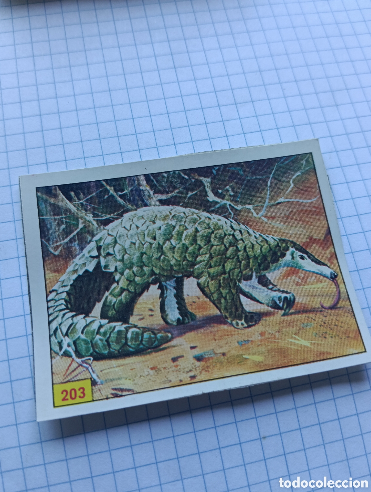 Collectable Antique Stickers: Cromo 203 Mam&iacute;feros 1984 Panini Recuperado