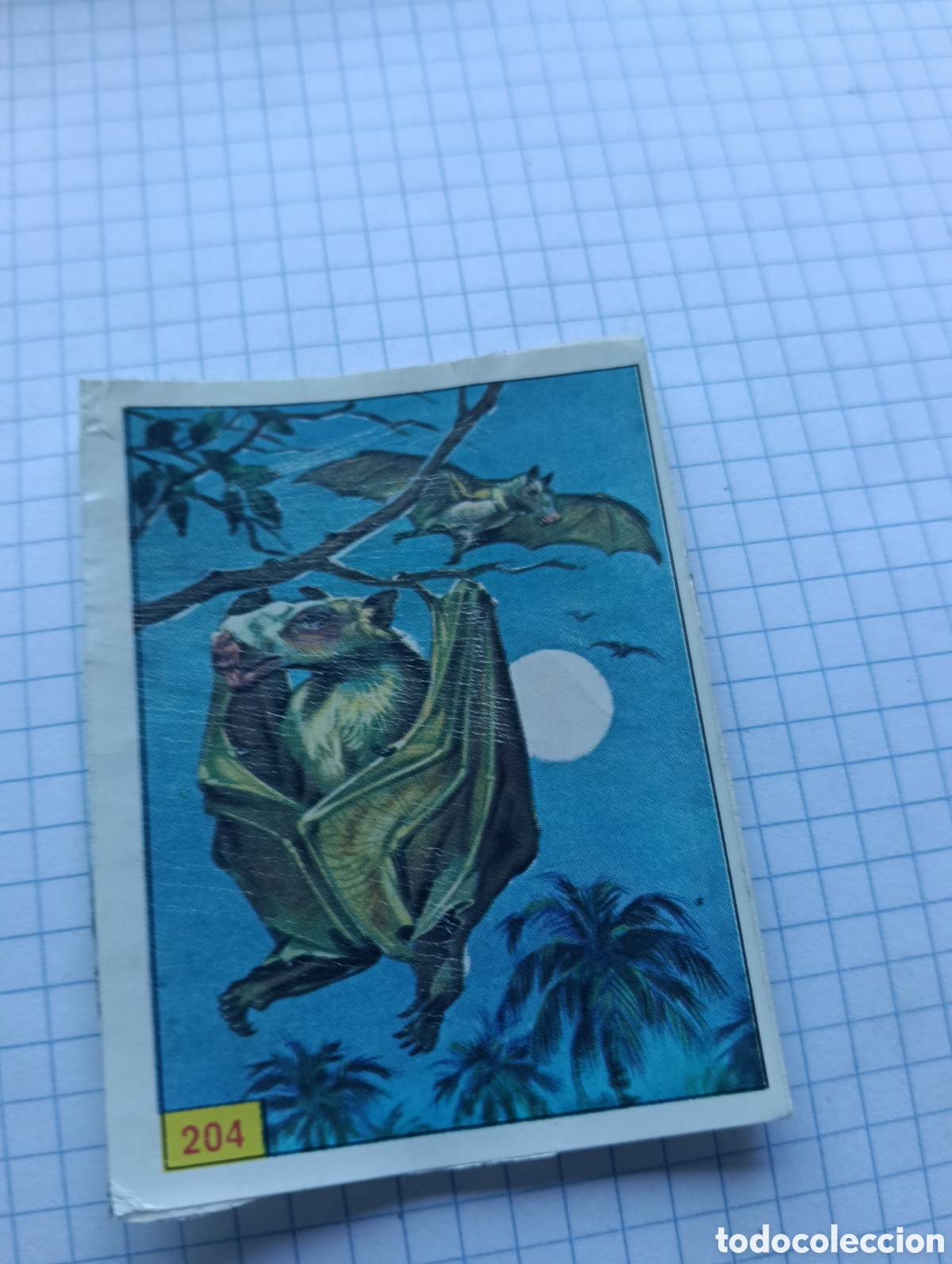 Collectable Antique Stickers: Cromo 204 Mam&iacute;feros 1984 Panini Recuperado