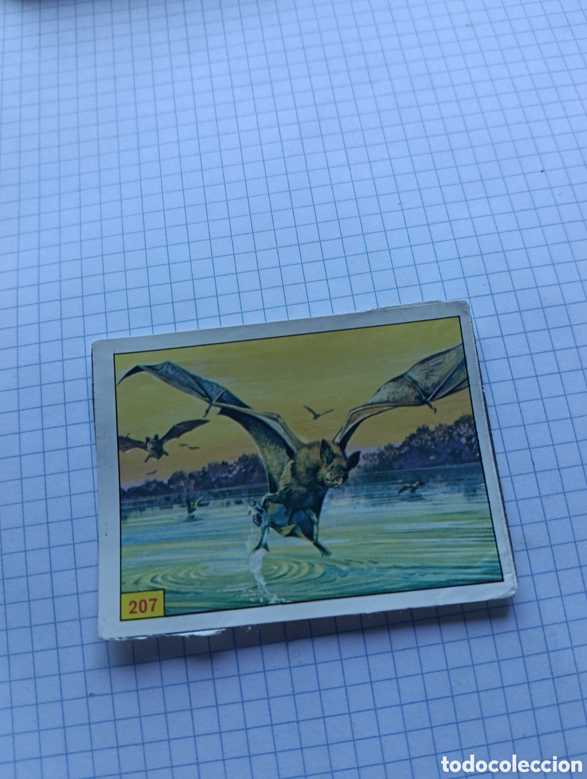 Coleccionismo Cromos antiguos: Cromo 207 Mam&iacute;feros 1984 Panini Recuperado