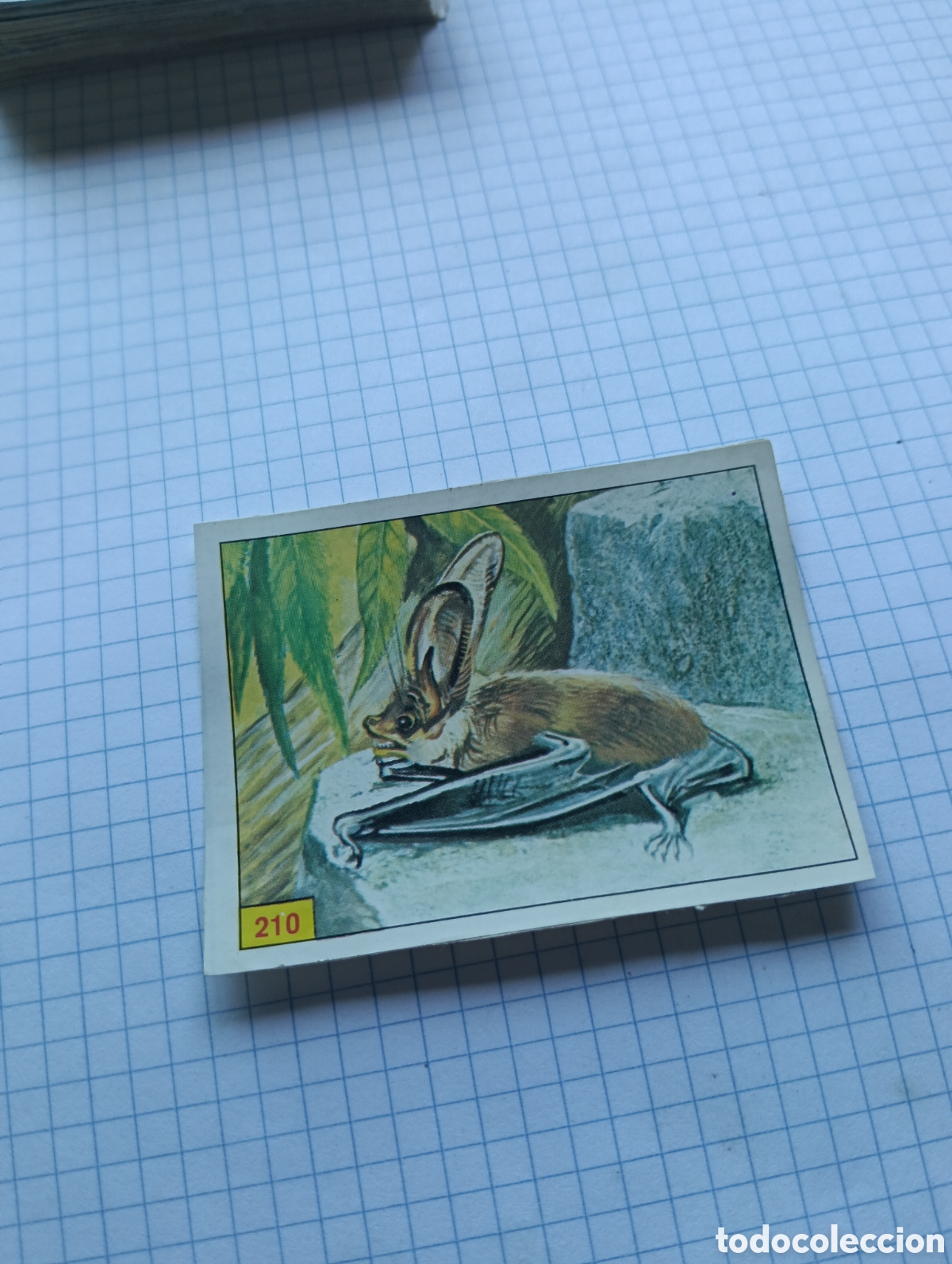 Coleccionismo Cromos antiguos: Cromo 210 Mam&iacute;feros 1984 Panini Recuperado