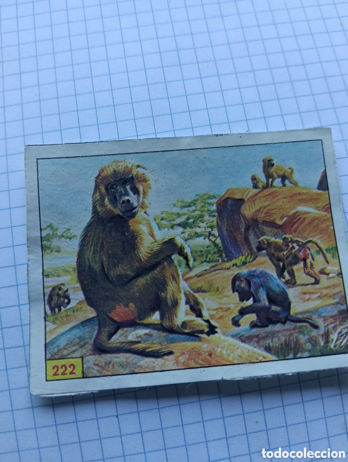 Coleccionismo Cromos antiguos: Cromo 222 Mam&iacute;feros 1984 Panini Recuperado