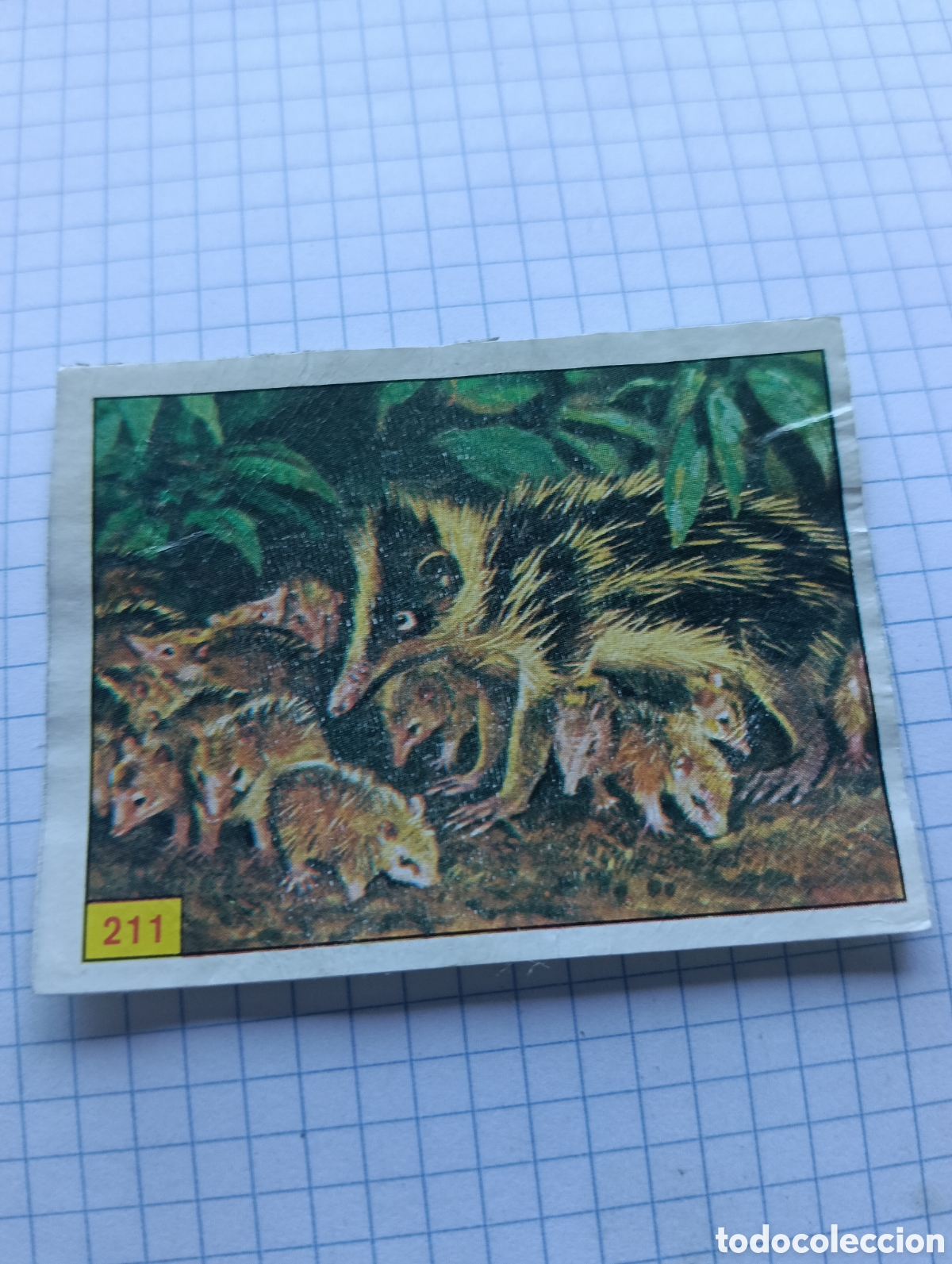 Coleccionismo Cromos antiguos: Cromo 211 Mam&iacute;feros 1984 Panini Recuperado