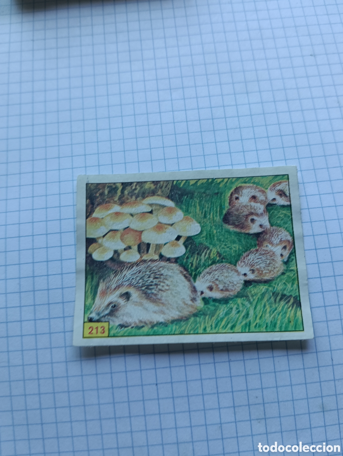 Coleccionismo Cromos antiguos: Cromo 213 Mam&iacute;feros 1984 Panini Recuperado