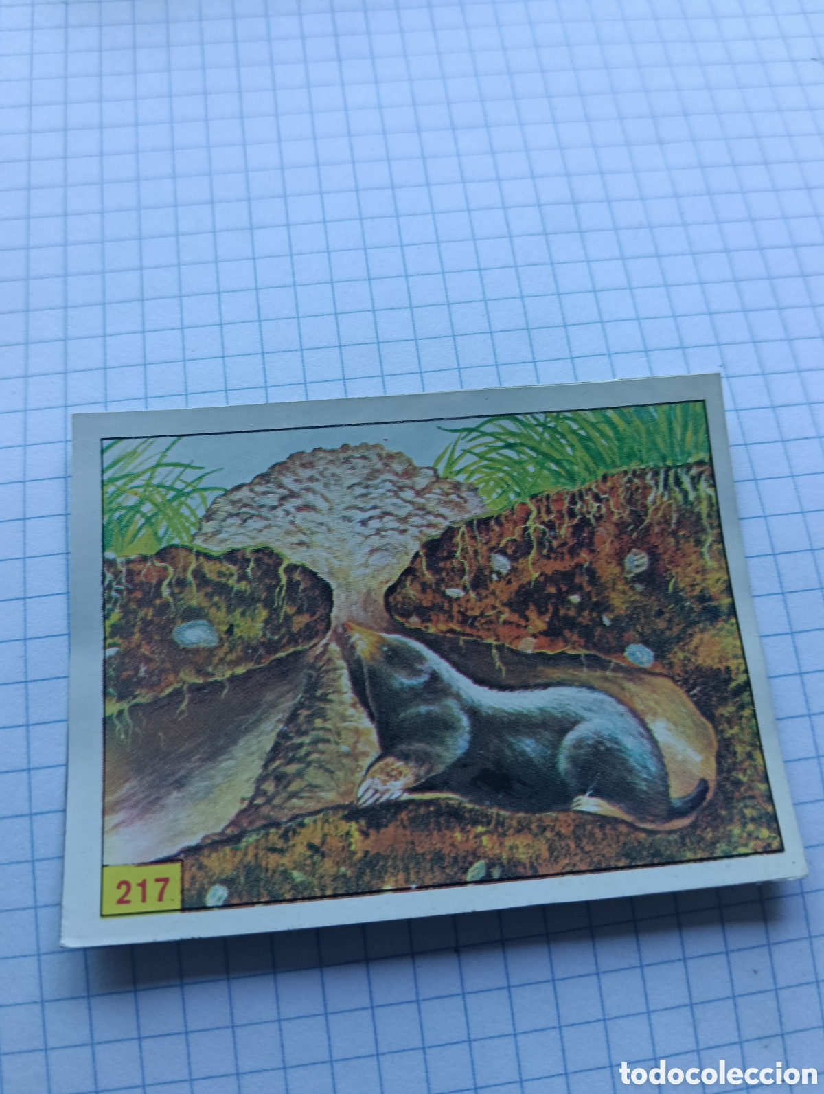 Coleccionismo Cromos antiguos: Cromo 217 mam&iacute;feros 1984 Panini Recuperado