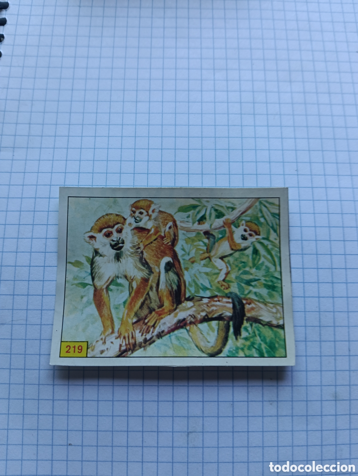 Coleccionismo Cromos antiguos: Cromo 219 Mam&iacute;feros 1984 Panini Recuperado